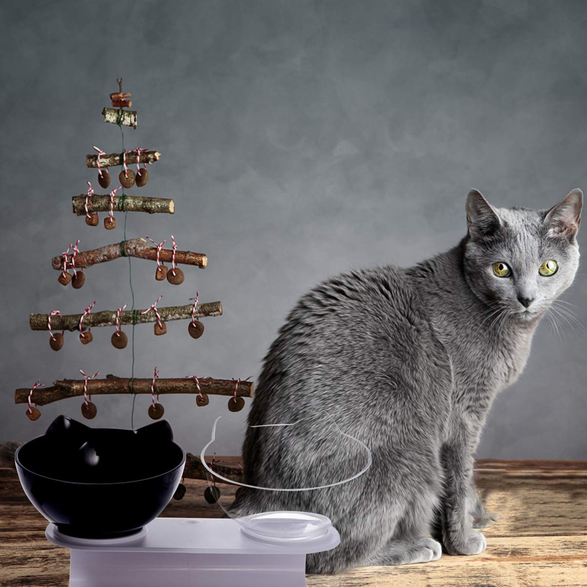 VOSAREA Elevated Double Pet Bowls for Dogs and Cats - Tilted Raised Food & Water Feeder with Stand - Stress-Free Eating for Small Dogs, Puppies & Kittens - Perfect for Home, Travel, and Outdoor Use