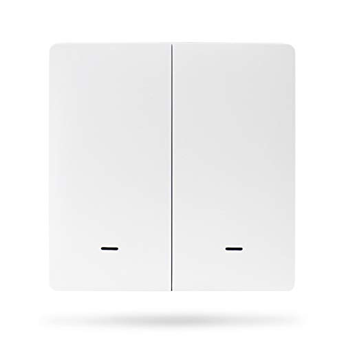 YoumiAi Tuya Zigbee Smart Wireless Light Switch 2 Gang - Works with Alexa & Google Assistant - Requires Tuya Zigbee Hub - App & Remote Control - Schedule Automation - Perfect for Smart Homes, Living Rooms & Bedrooms