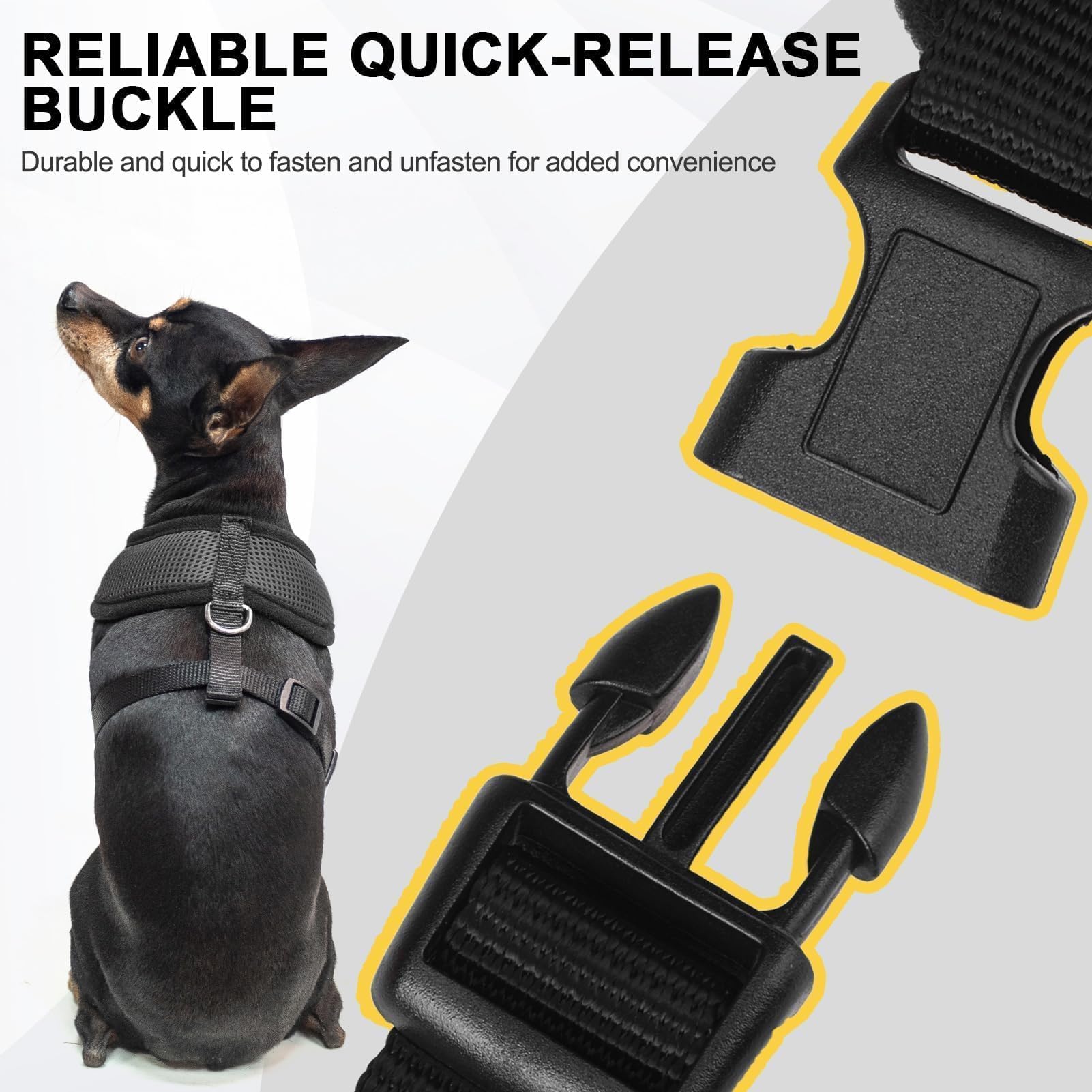 BINGPET Small Dog Harness - Breathable Mesh No-Pull Adjustable Vest for Puppies & Cats - Comfortable Pet Harness for Small to Medium Dogs - Perfect for Walking, Hiking, and Outdoor Adventures