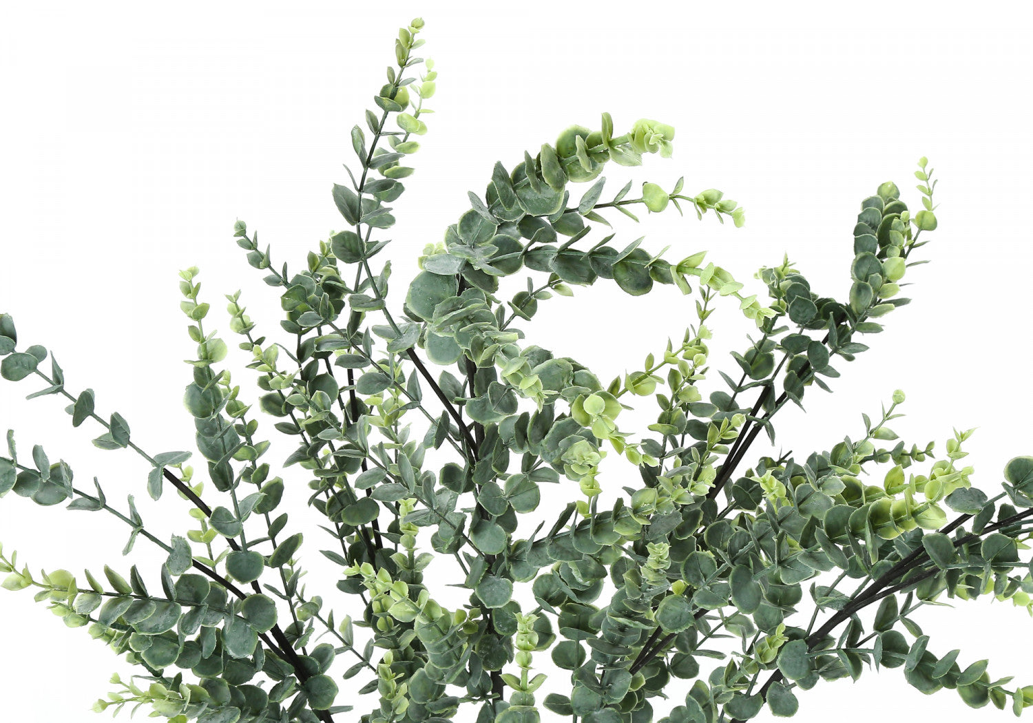 44 Pack Eucalyptus Plants in 5 Black Pots - Fresh Green Indoor/Outdoor Decor for Home, Office, and Wedding Arrangements