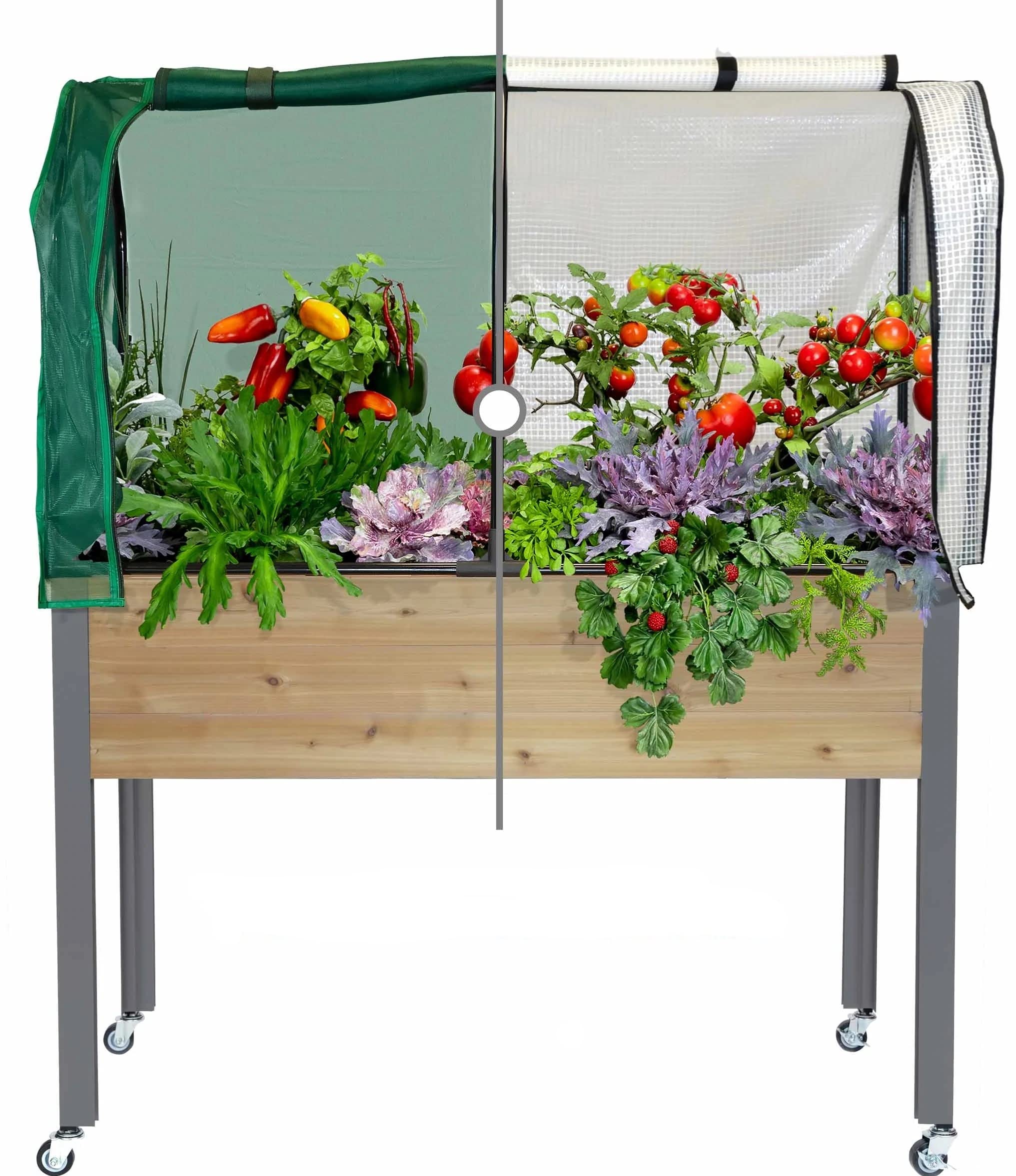 **CedarCraft Self-Watering Elevated Cedar Planter Box (21 x 47 x 32 Inches) with Greenhouse Cover & Bug Net - Durable Red Cedar for Raised Garden Beds - Perfect for Patio, Balcony, and Indoor Herb Gardening**