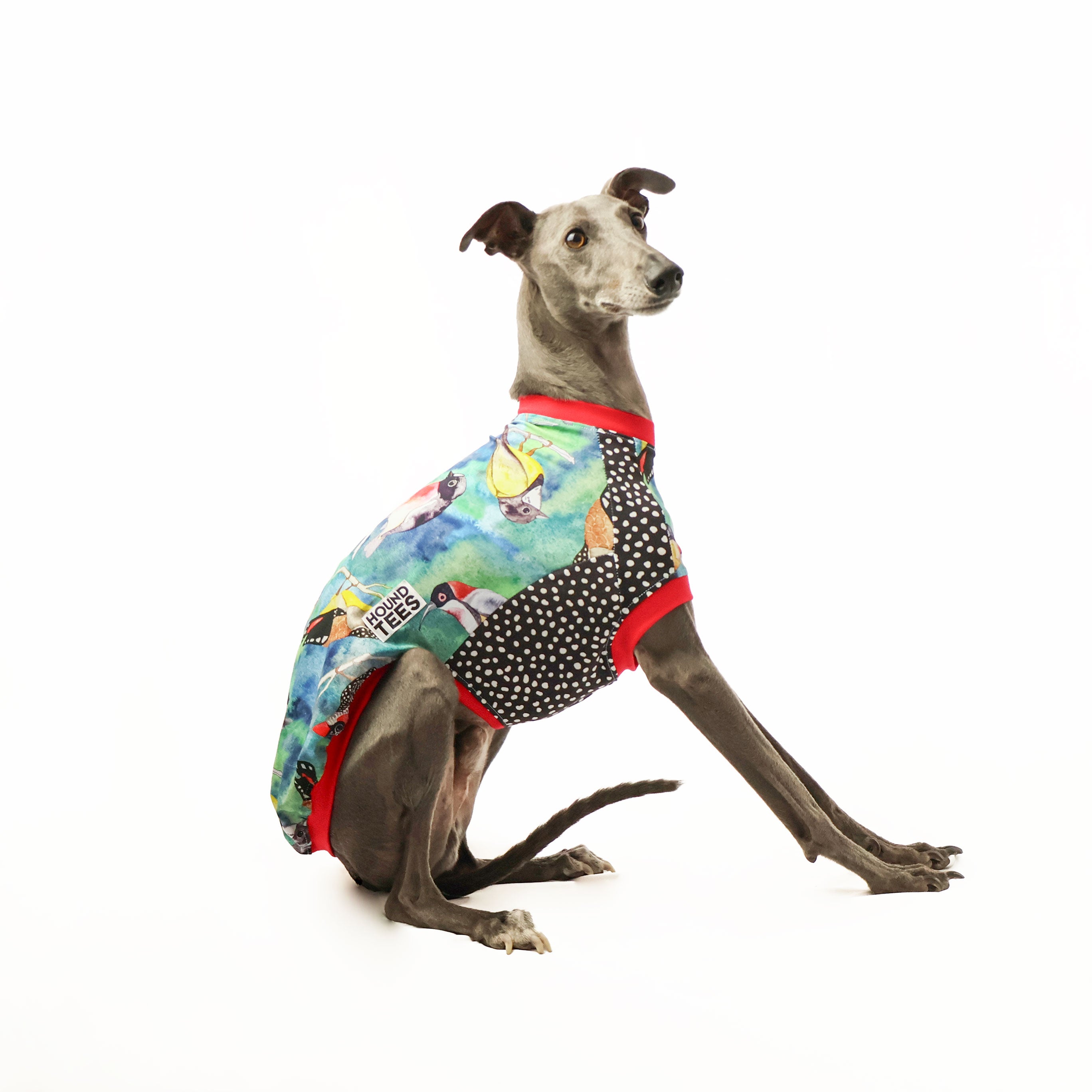 Birbs Whippet Sleeveless Hound T-Shirt - Comfortable Dog Lover Apparel for Summer Walks & Outdoor Adventures