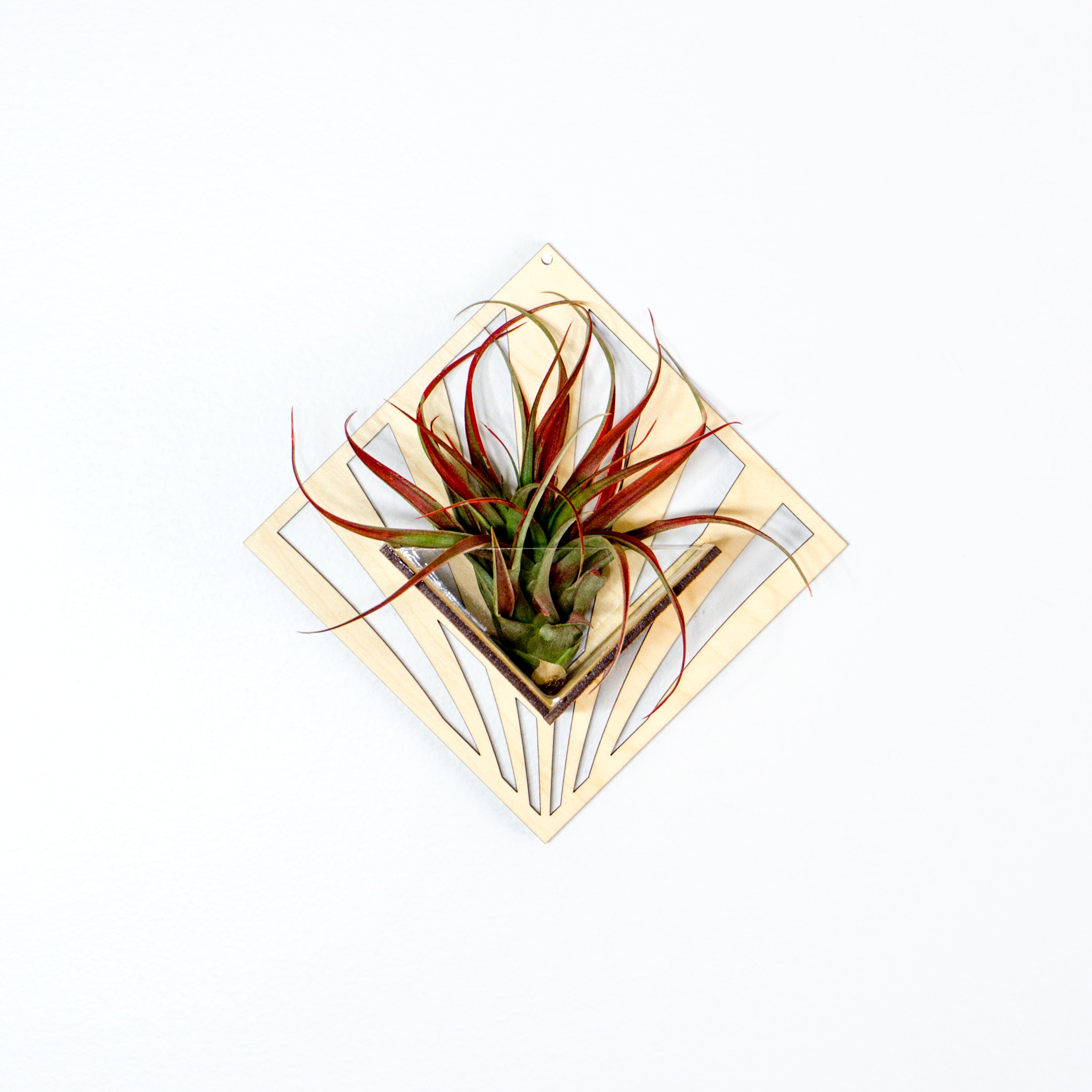 Handmade Wooden Quadrate Wall Planter Set of 2 - Air Plant Holder & Mounted Hanger Display for Tillandsia | Rustic Home Decor, Unique Plant Lover Gift Idea for Living Room, Bedroom or Office Decor