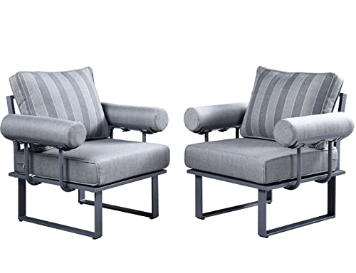 Black-stripe Grey