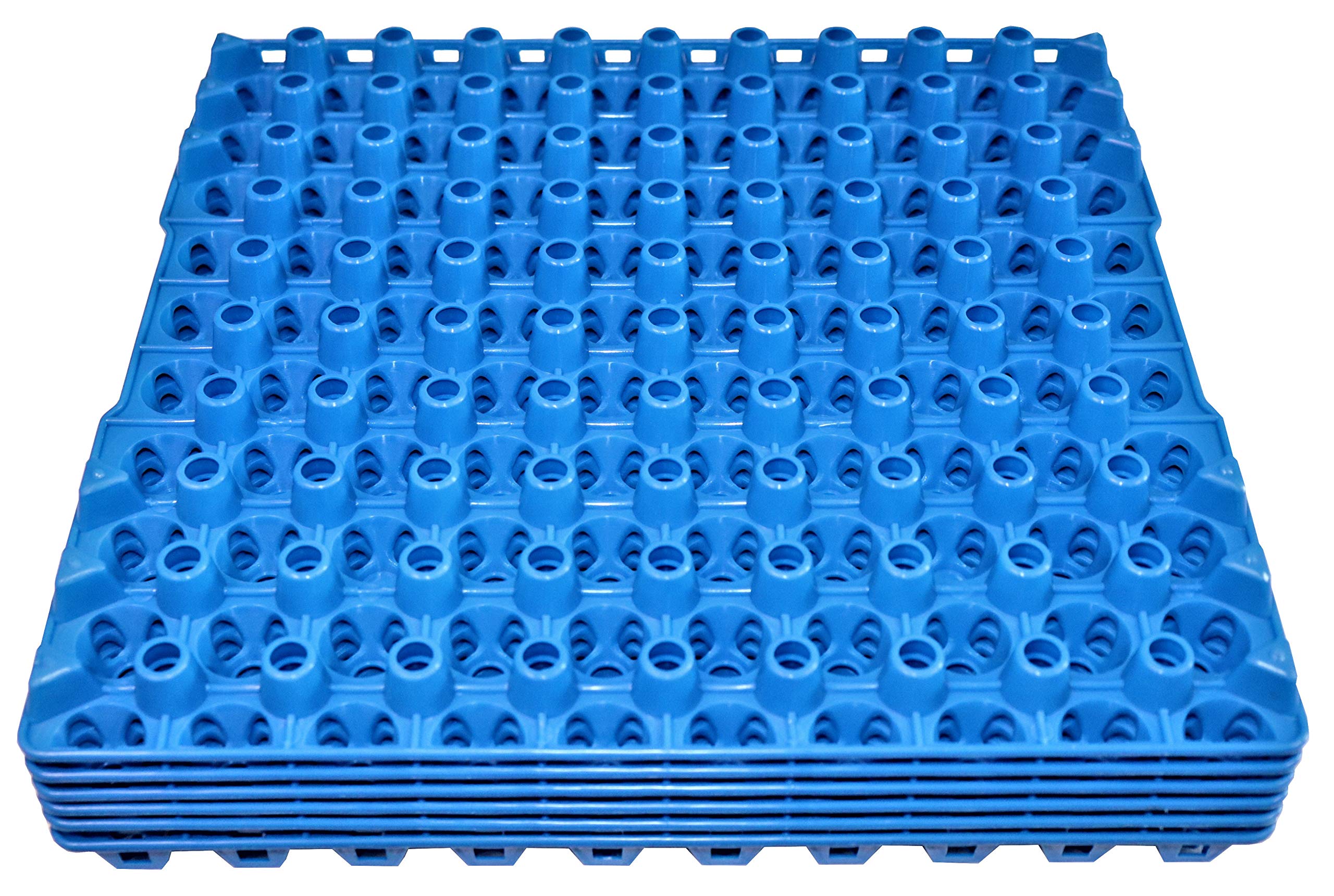 90 Egg Plastic Trays for Quail Pigeon Dove Birds - Durable Reusable Egg Cartons for Poultry Farm, Hatching & Bird Nesting - Perfect for Small Farms, Backyard Coops & Aviculture Enthusiasts