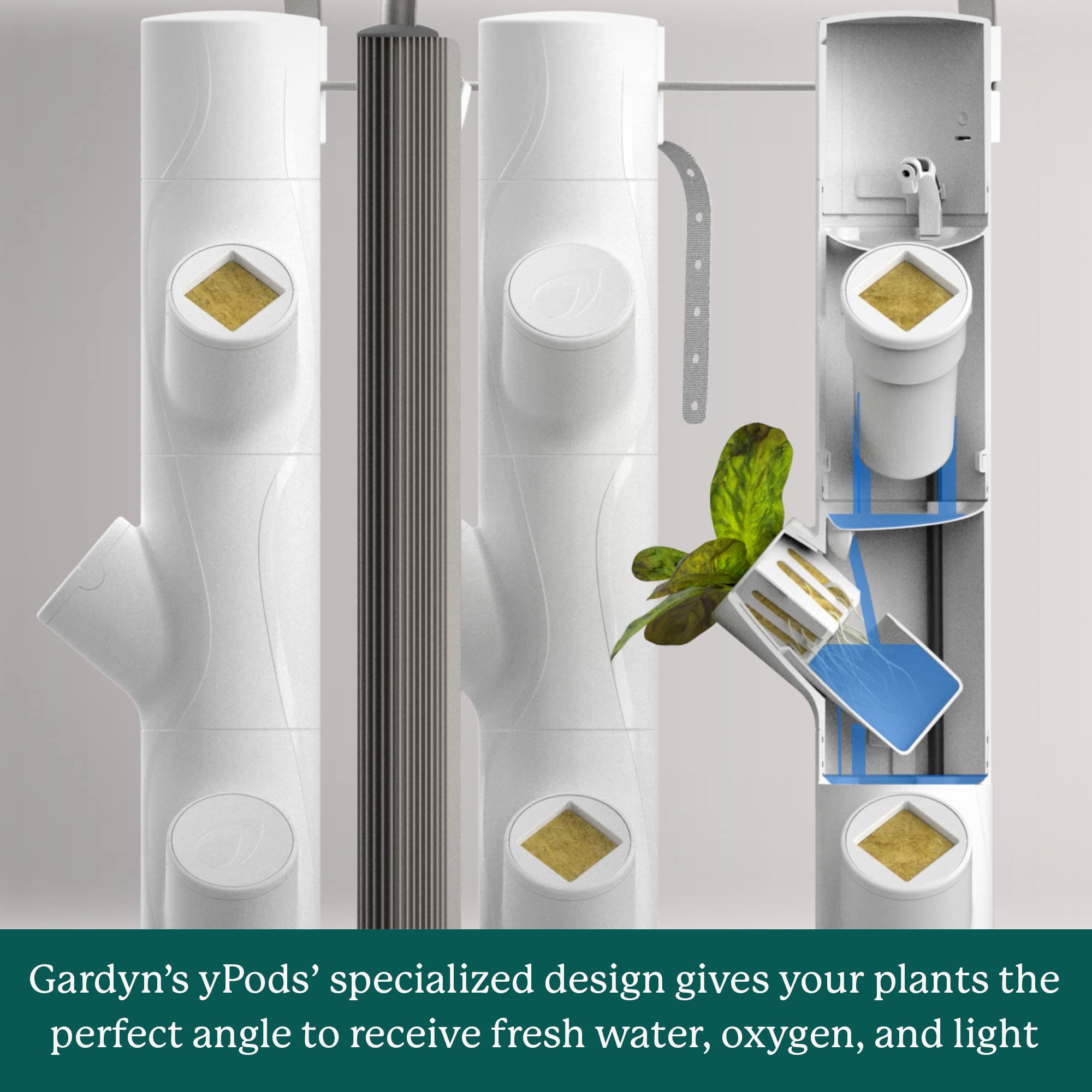 Gardyn yPods - 10 Pack ABS Plastic Hydroponic Pods for Vertical Indoor Garden Systems | Compatible with Gardyn Home Hydroponics Growing Kits & Tower Gardens | Perfect for Growing Herbs, Vegetables & Flowers Indoors