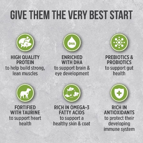 Nutrience Infusion Healthy Puppy Chicken Recipe Dry Dog Food - High Protein Grain-Free Kibble for Growing Puppies | Perfect for Small & Medium Breed Dogs | Supports Immune System & Digestive Health