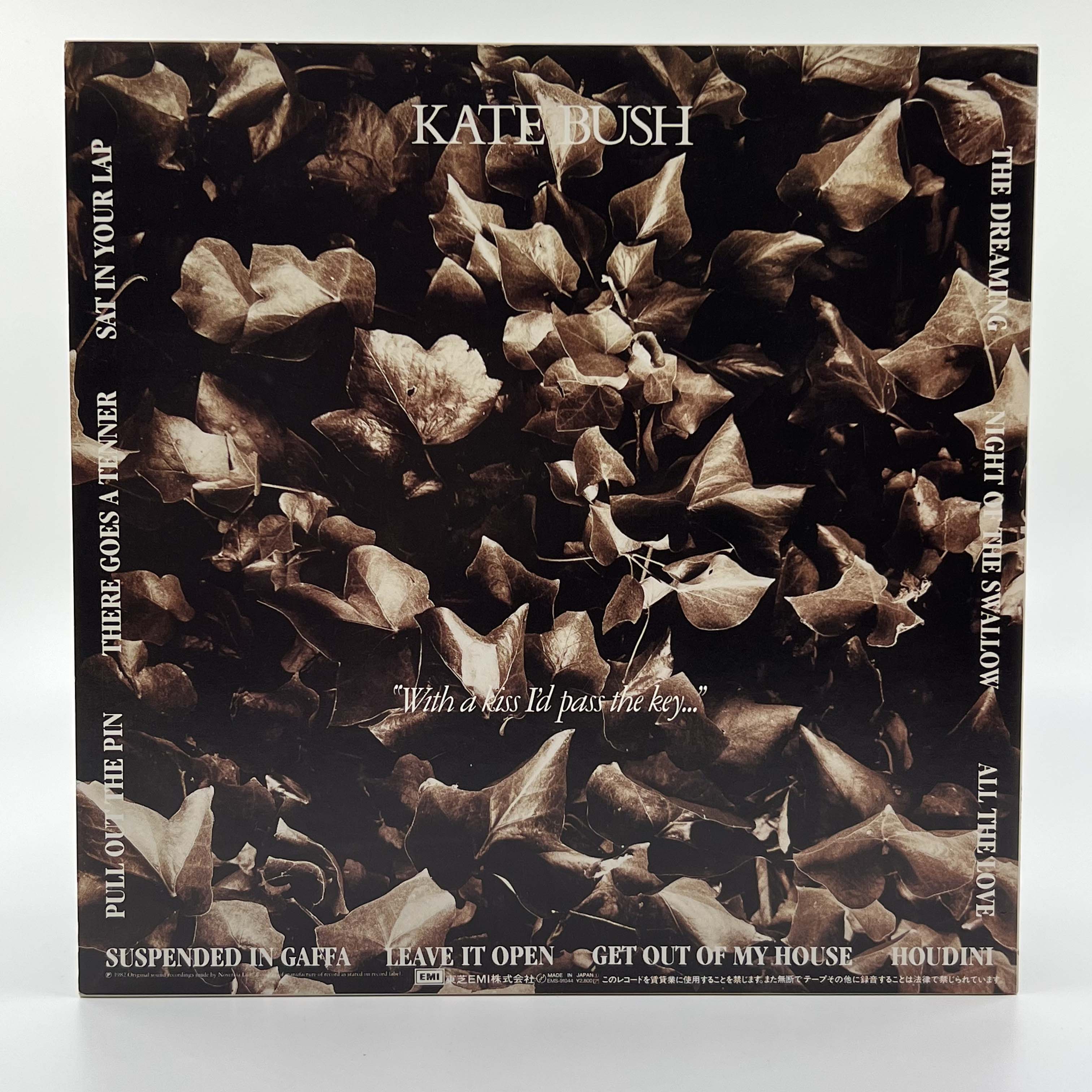 Kate Bush Official Merchandise & Music Albums | Vinyl, CDs, Posters & More – Perfect for Fans & Collectors | Home Decor, Gifts & Music Lovers
