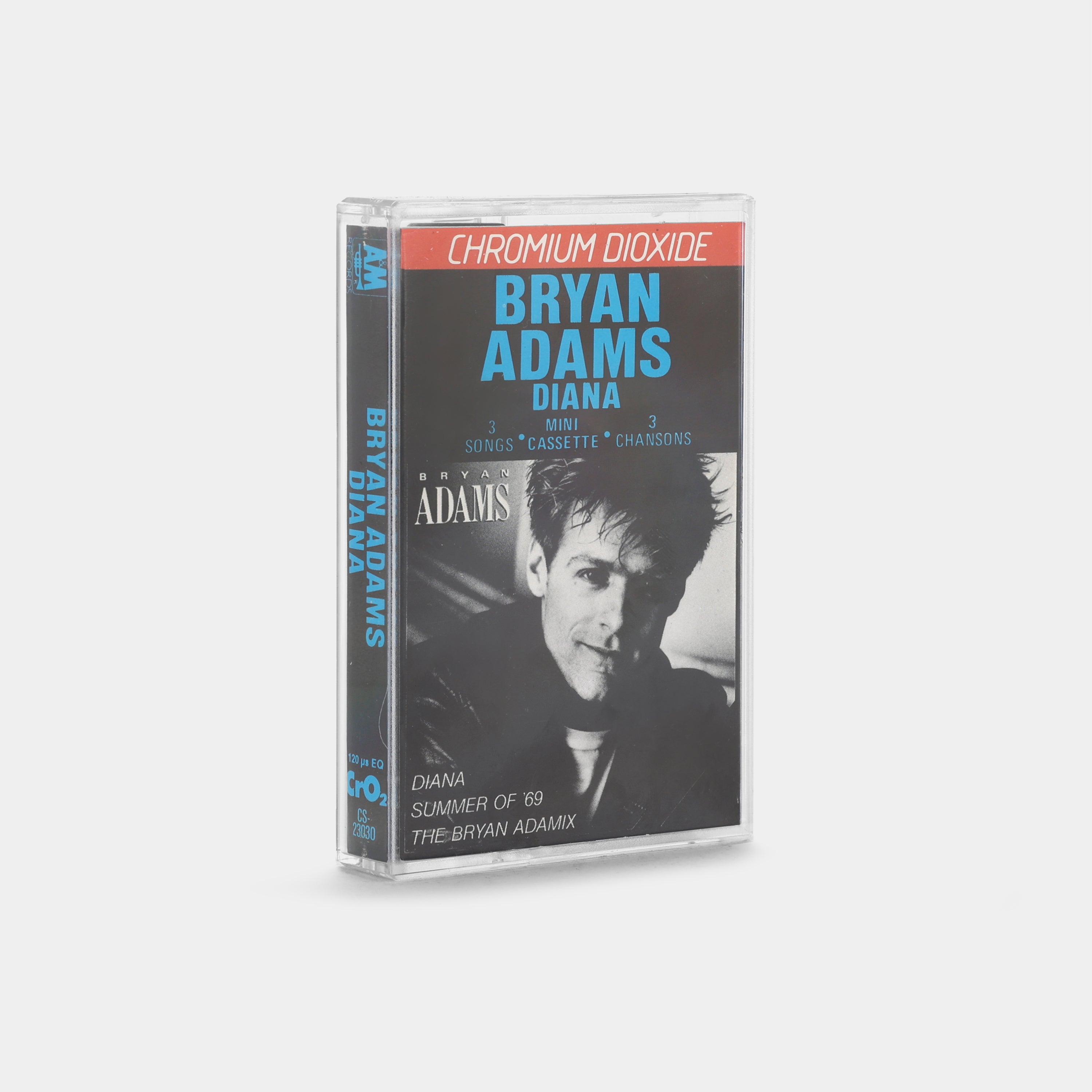 Bryan Adams Diana Cassette Tape - Vintage Music Collection for Retro Music Lovers | Perfect for Cassette Players, Home Decor & 80s Nostalgia Gifts