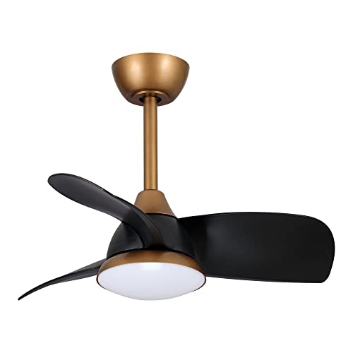 Copper+Black