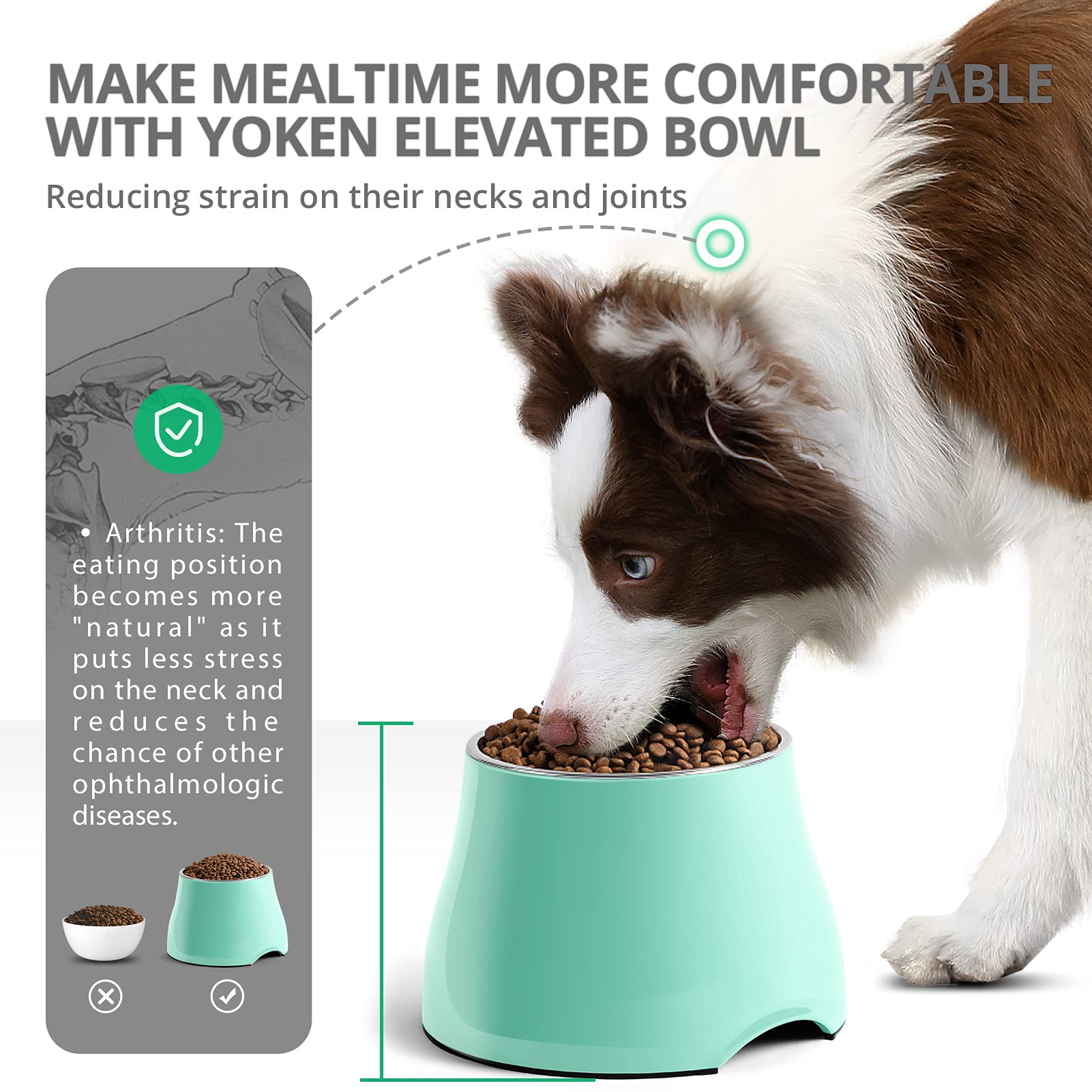 Yoken Elevated Dog Bowls - Non-Slip Stainless Steel Raised Dog Food Bowls for Small & Medium Dogs - Prevents Neck Strain & Improves Digestion - Perfect for Home, Kitchen or Outdoor Use