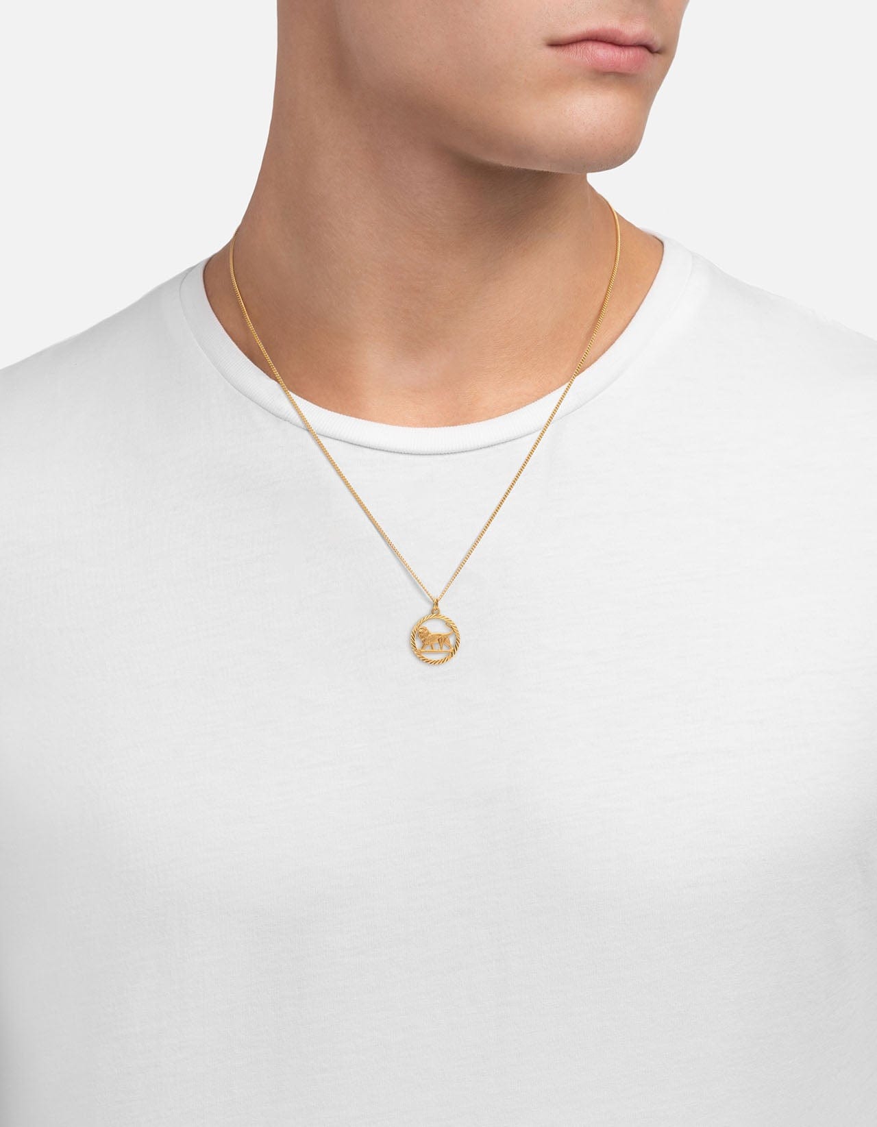 Lev Lion Necklace - 18K Gold Vermeil Pendant for Women & Men | Elegant Jewelry Gift for Birthday, Anniversary & Special Occasions | Perfect for Layering & Everyday Wear