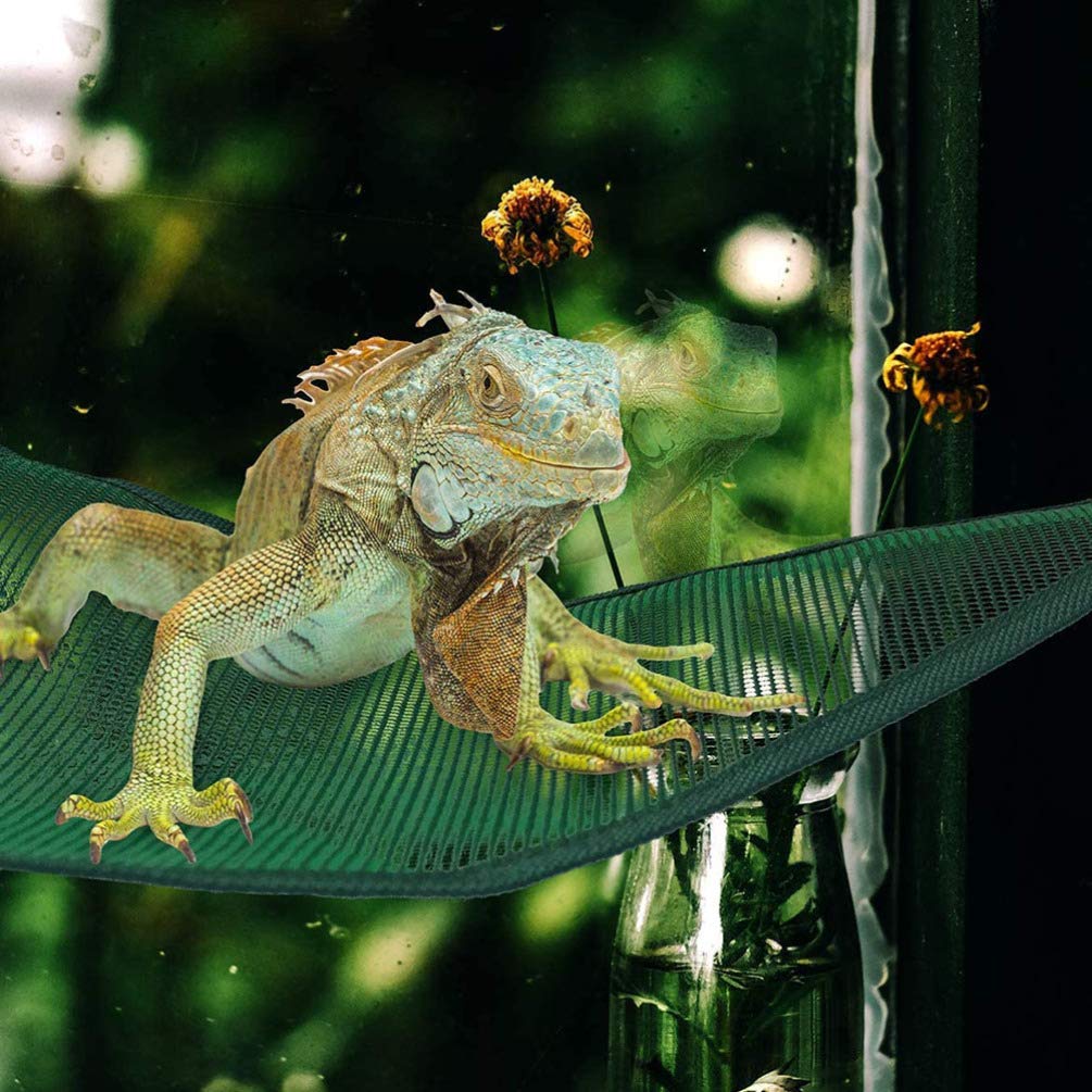 Balacoo 2-Pack Reptile Hammock - Breathable Mesh Climbing Rope Lounger for Bearded Dragons, Geckos & Lizards - Terrarium Accessories for Resting & Basking - Perfect for Reptile Tanks, Habitats & Enclosures