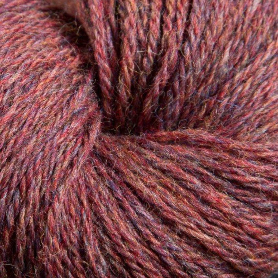 Boysenberry