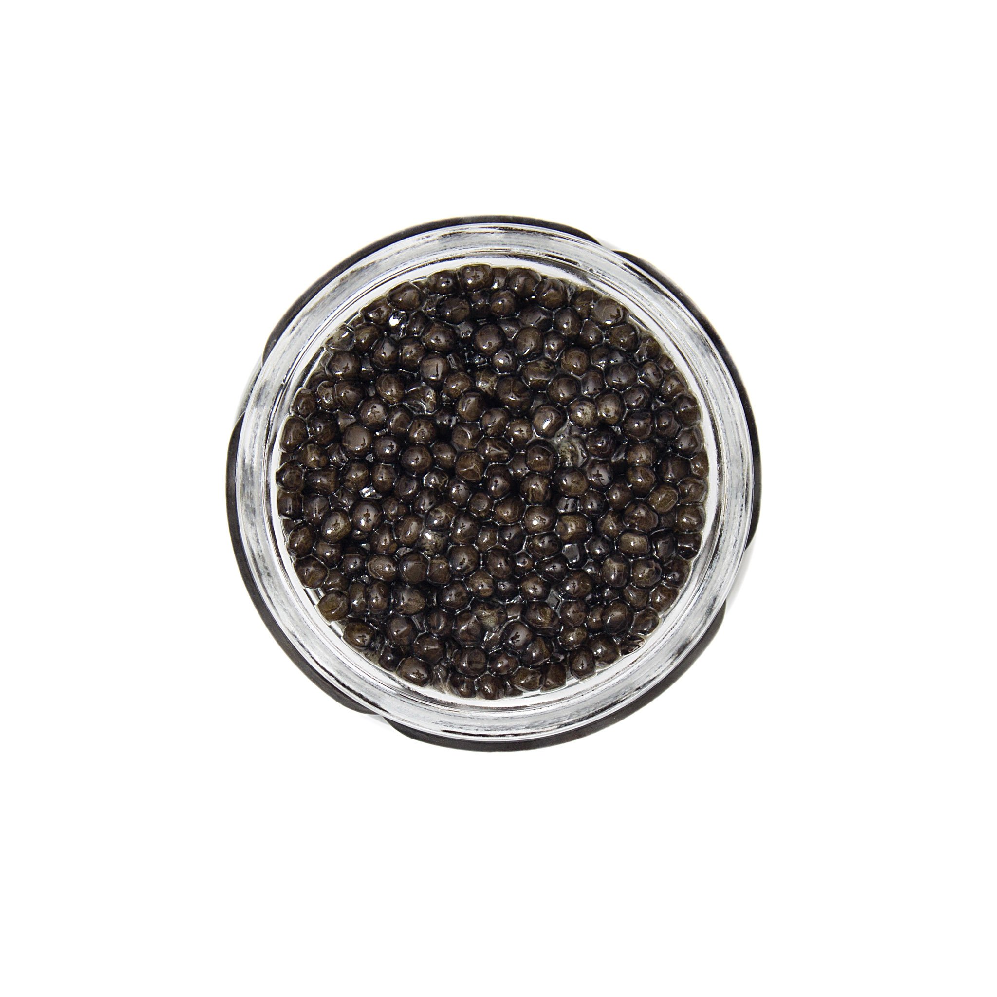 Premium 1oz Siberian Osetra Caviar Gift Box with FREE Mother of Pearl Spoon - Guaranteed Overnight Delivery - Perfect for Gourmet Gifts, Special Occasions & Luxury Dining Experiences