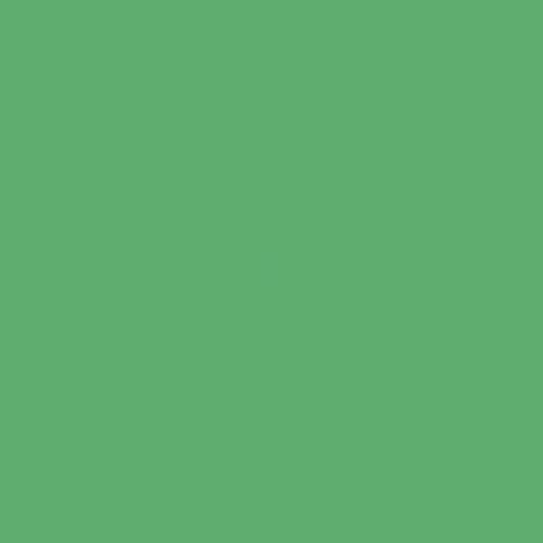 110 - Matte Forest Green (Hex Code: #60ad70)