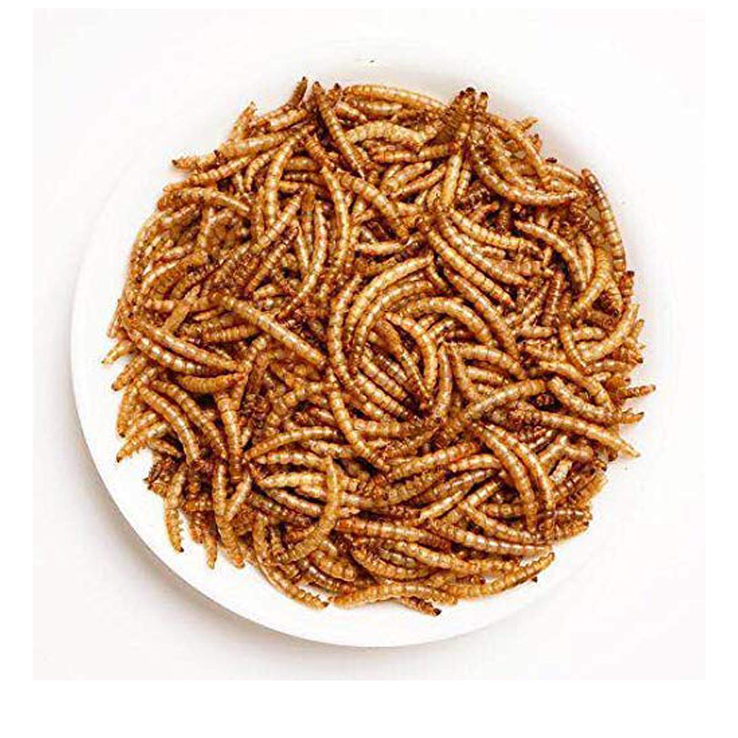 Dried Mealworms 11 LBS - Natural High Protein Feed for Chickens, Birds, Fish | Pet & Poultry Nutrition