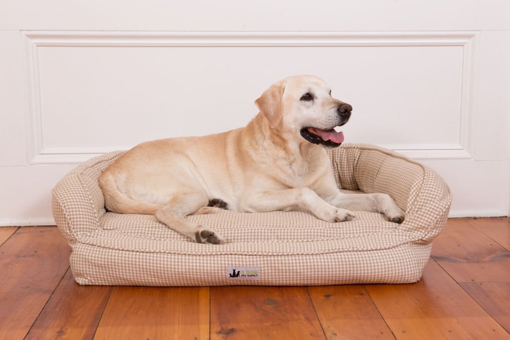 Premium Memory Foam Dog Bed with Washable Cover - Medium Size Orthopedic Pet Bed for Small to Medium Dogs - Perfect for Home, Crate & Travel Use