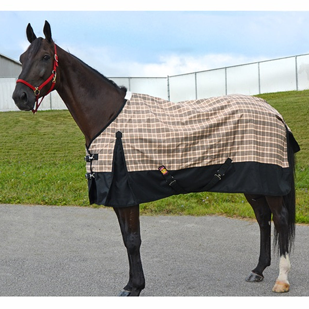 5A Baker Black Label Turnout Sheet - Heavy Duty Horse Blanket for Winter & Stable Use - Perfect for Riding, Training & Cold Weather Protection