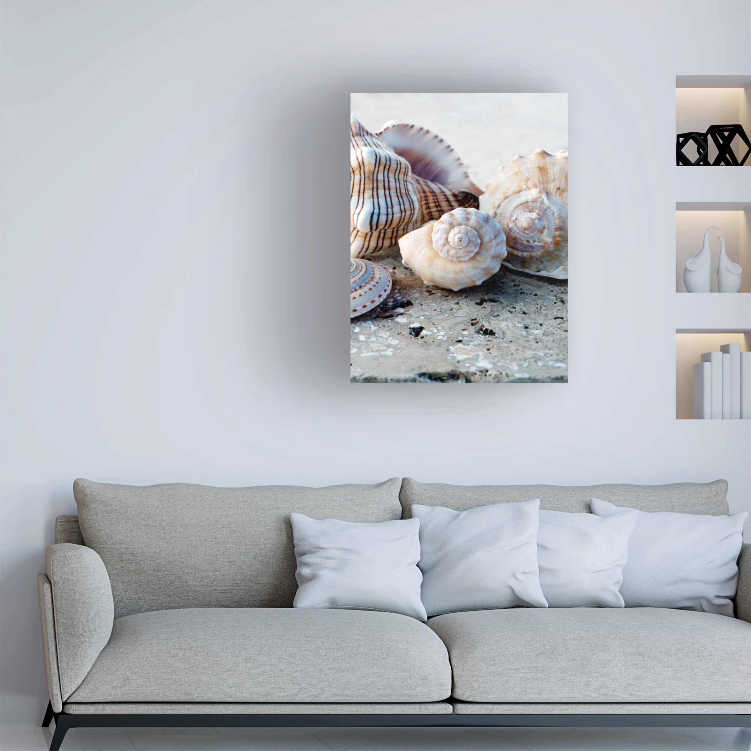 Elena Ray 'Gifts Of The Shore I' Canvas Wall Art Print - Coastal Beach Decor for Living Room, Bedroom & Office - Trademark Fine Art Collection