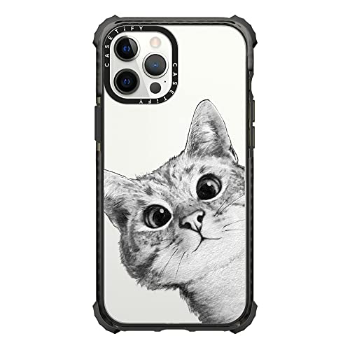peekaboo cat on rose gold