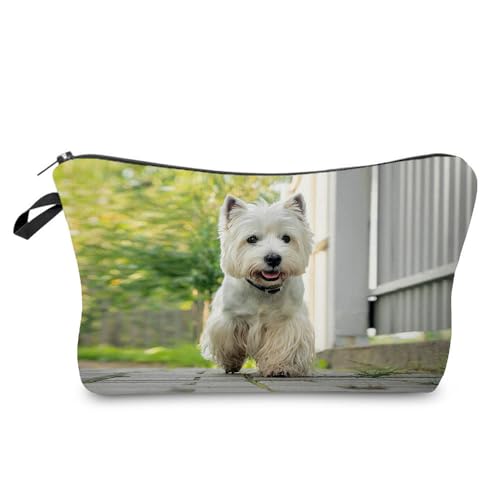 West Highland White Terrier 03
