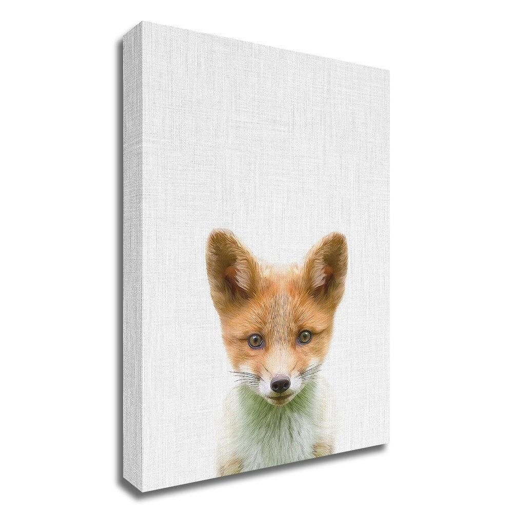 BabyFox Canvas Art Print by Tai Prints - Ready to Hang Wall Decor for Nursery, Kids Room & Home Decor