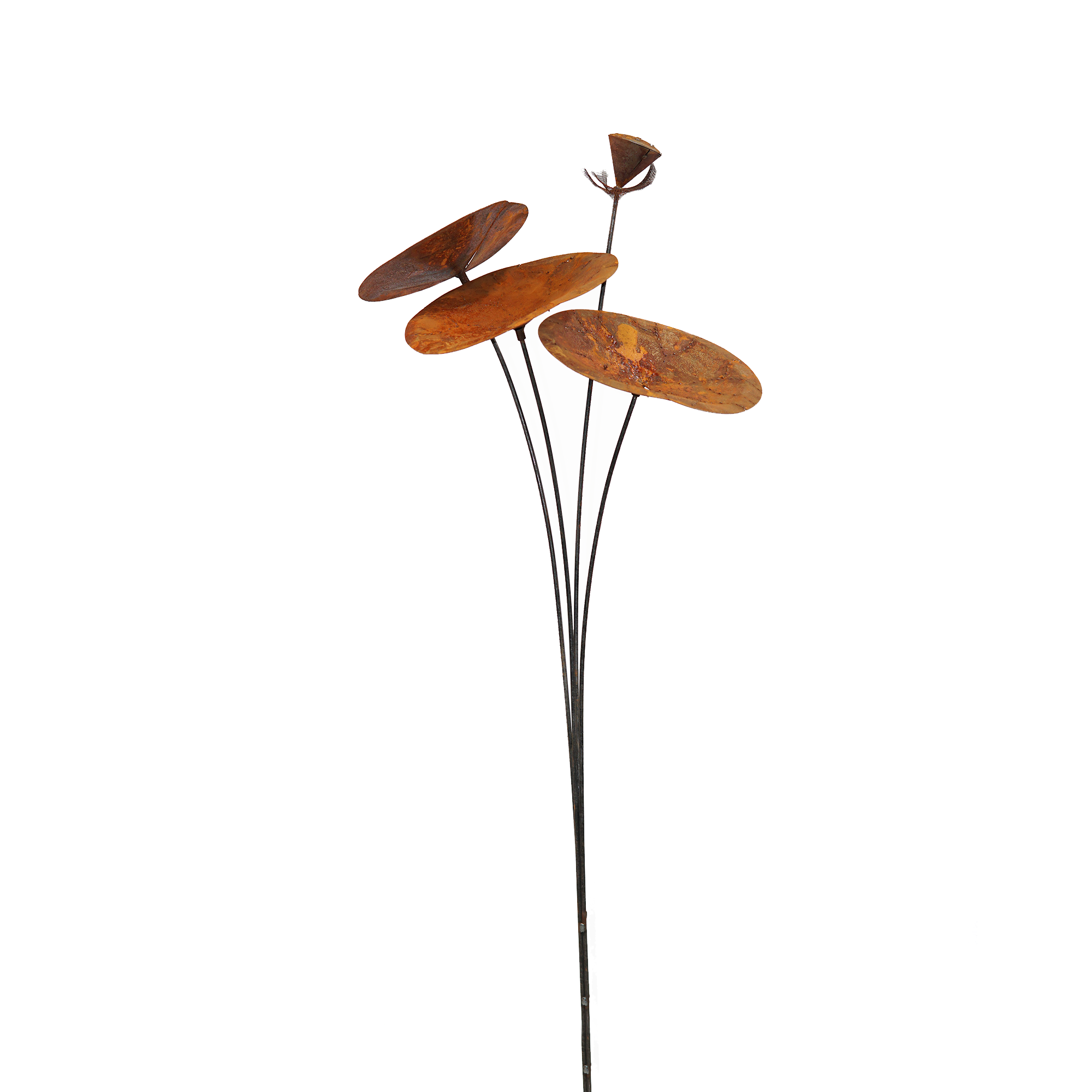 Lotus Leaf Stake W3320B - Durable Garden Plant Support for Outdoor Flowers, Vegetables & Vines - Perfect for Home Gardening, Backyard Landscaping & DIY Plant Projects