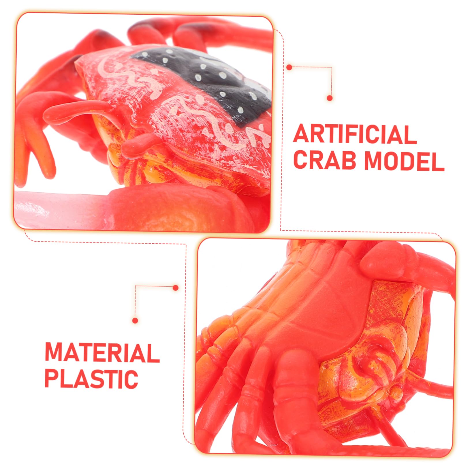 HOOTNEE Realistic Plastic Crab Toy Set - Lifelike Sea Creature Bath Toys for Kids, Ocean-Themed Playtime & Educational Fun - Perfect for Bath Time, Pool Parties & Beach Adventures