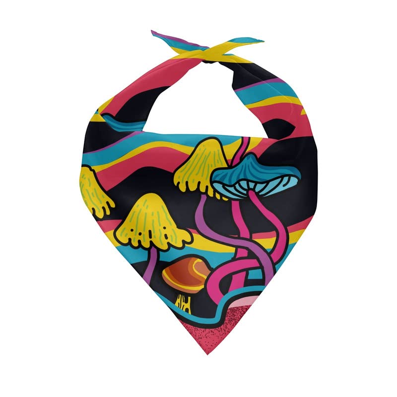 Cartoon Rainbow Abstract Mushroom