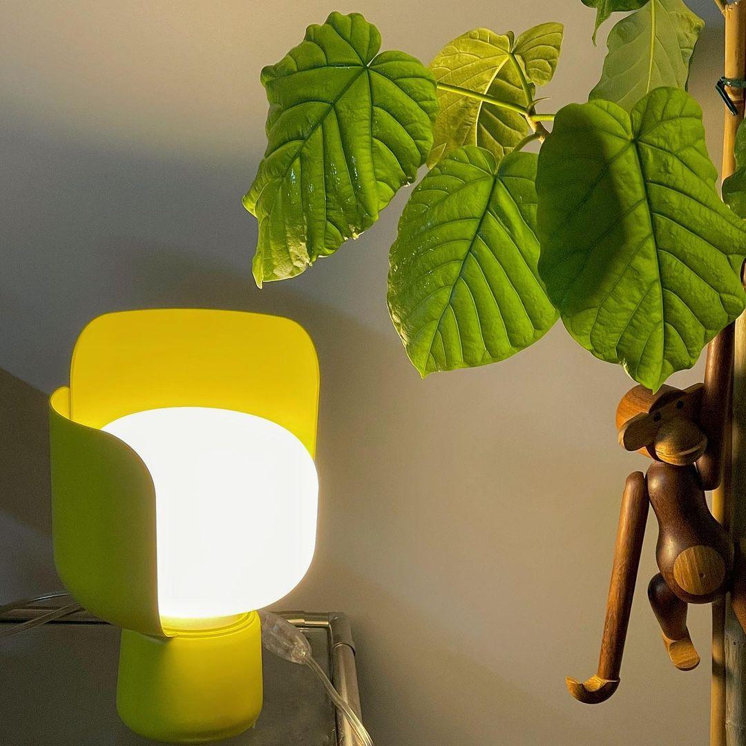 Elegant Petals Glass Table Lamp - Modern Home Decor for Bedroom, Living Room & Office - Soft Ambient Lighting for Relaxation & Cozy Atmosphere