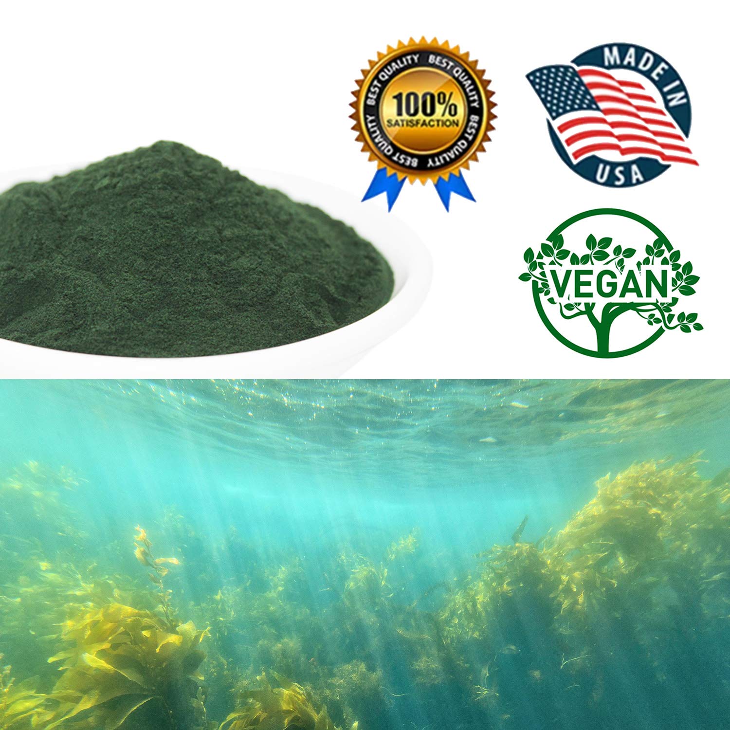 Organic Spirulina Powder 16oz (1LB) - 100% Pure Vegan Superfood, High Protein Supplement for Smoothies, Shakes & Fitness Nutrition - Natural Energy Booster for Athletes & Healthy Lifestyle