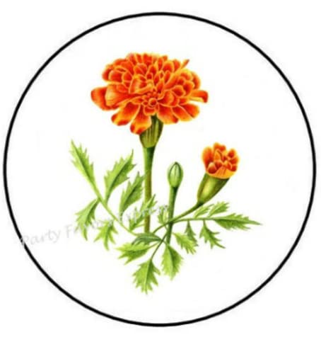 30 Pcs 1.5 Inch Marigold Flower Stickers - Waterproof Vinyl Decals for Packaging, Envelopes, Scrapbooking & DIY Crafts - Bulk Thank You Labels for Business & Gifts
