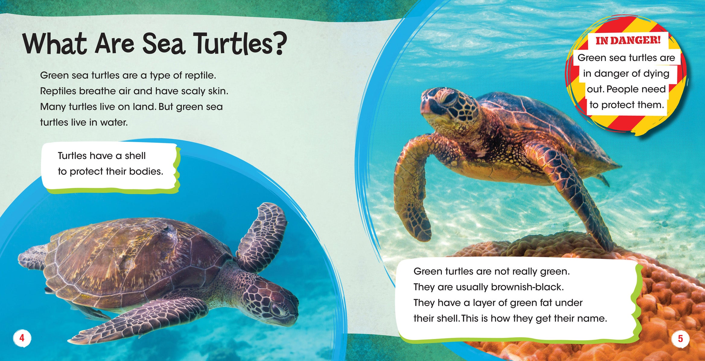 Green Sea Turtles - Eco-Friendly Marine Animal Decor for Home & Office | Perfect for Ocean Theme Rooms, Aquarium Displays & Nature Lovers