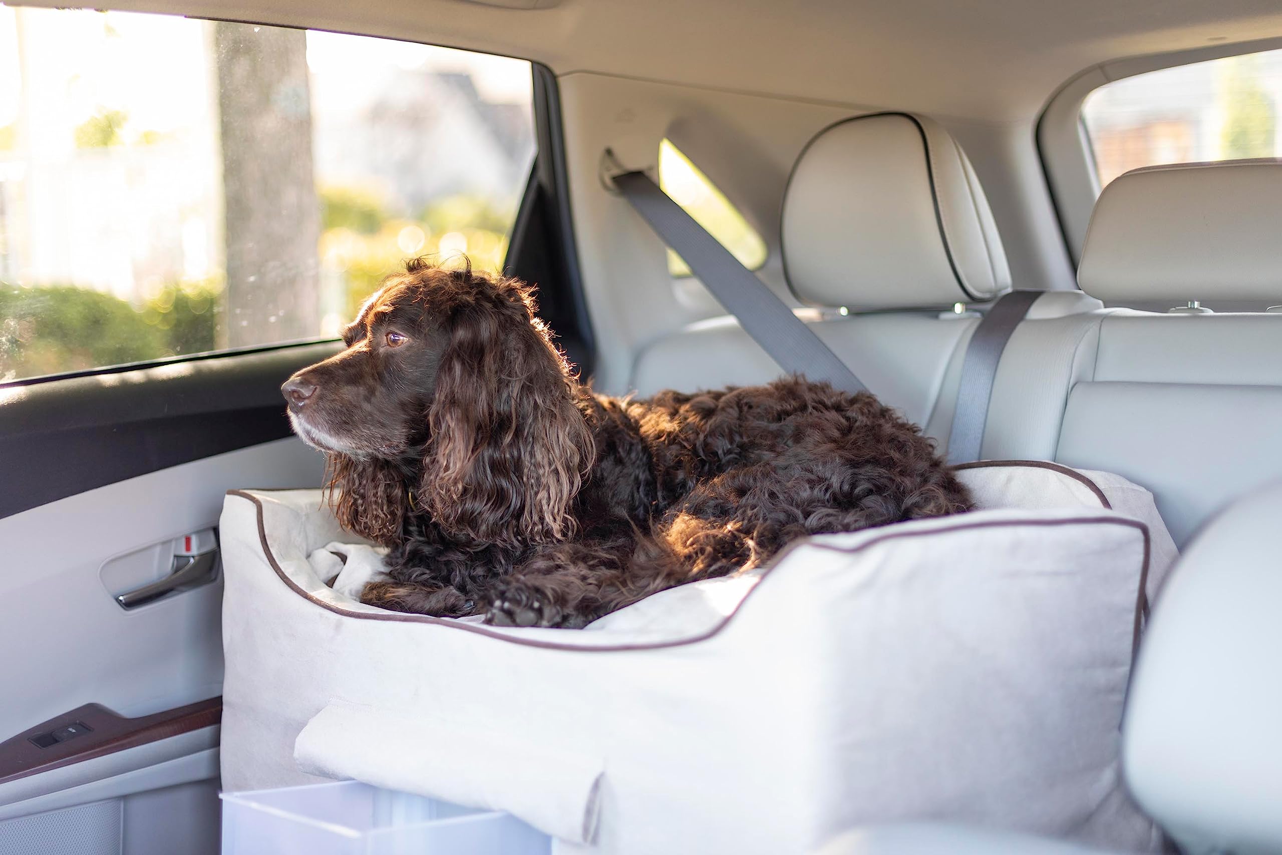 Snoozer Lookout II Dog Booster Car Seat for Medium Dogs - Pet Travel Safety with Storage Tray & Washable Buckskin Cover - Helps Prevent Car Sickness, Includes Harness Strap - Perfect for Road Trips, Vet Visits & Daily Commutes
