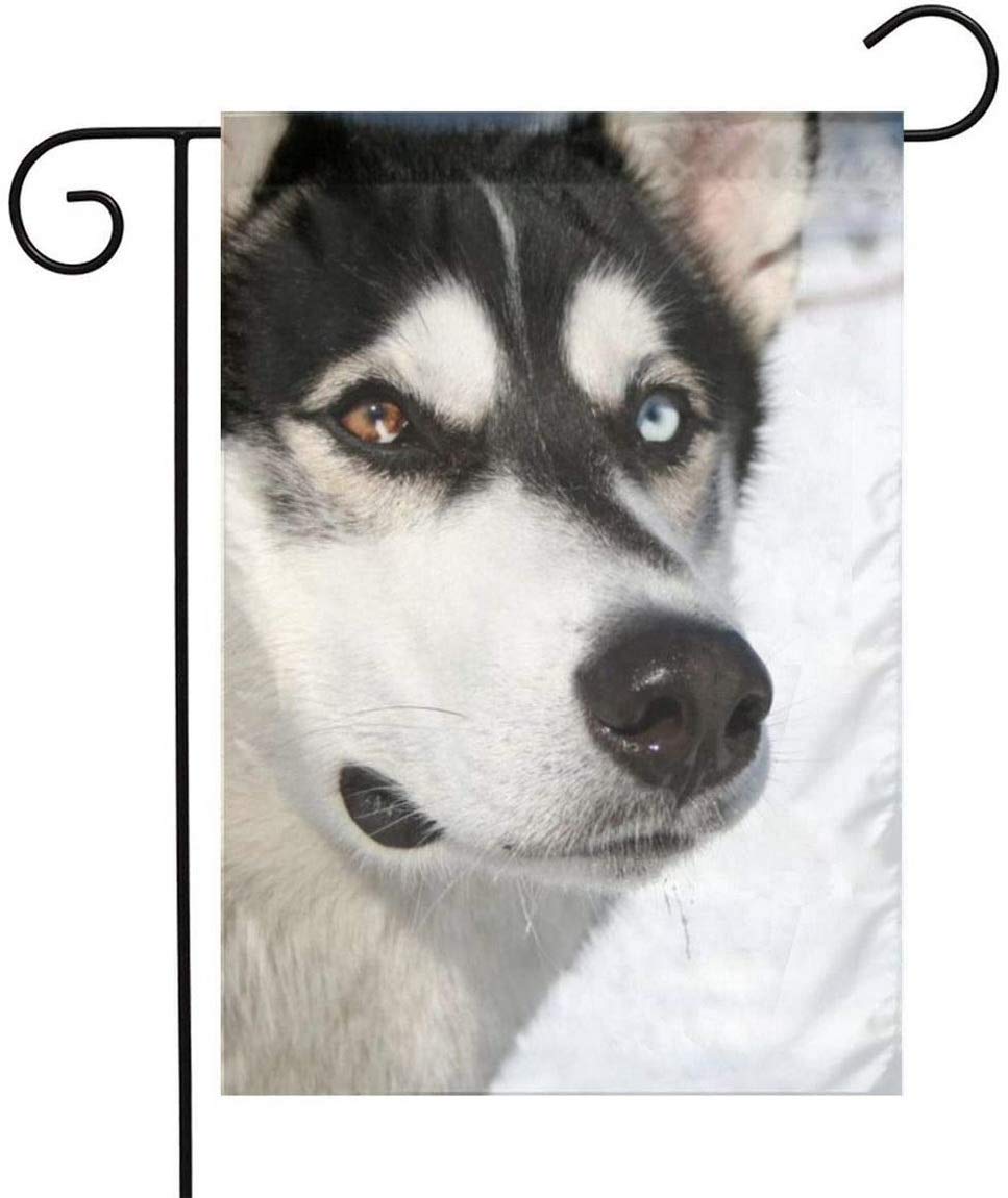 BUZAI Siberian Husky Garden Flag Set - 12X18 Inch Vertical Outdoor Yard Flag, Weather Resistant, Funny Holiday Decoration for Welcome - Perfect for Front Yard, Porch, Garden & Seasonal Home Decor