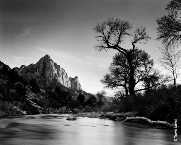 Kodak Professional T-Max 100 Black & White 35mm Film (36 Exposures) - High Contrast B&W Photography for Street, Portrait & Landscape Shooting