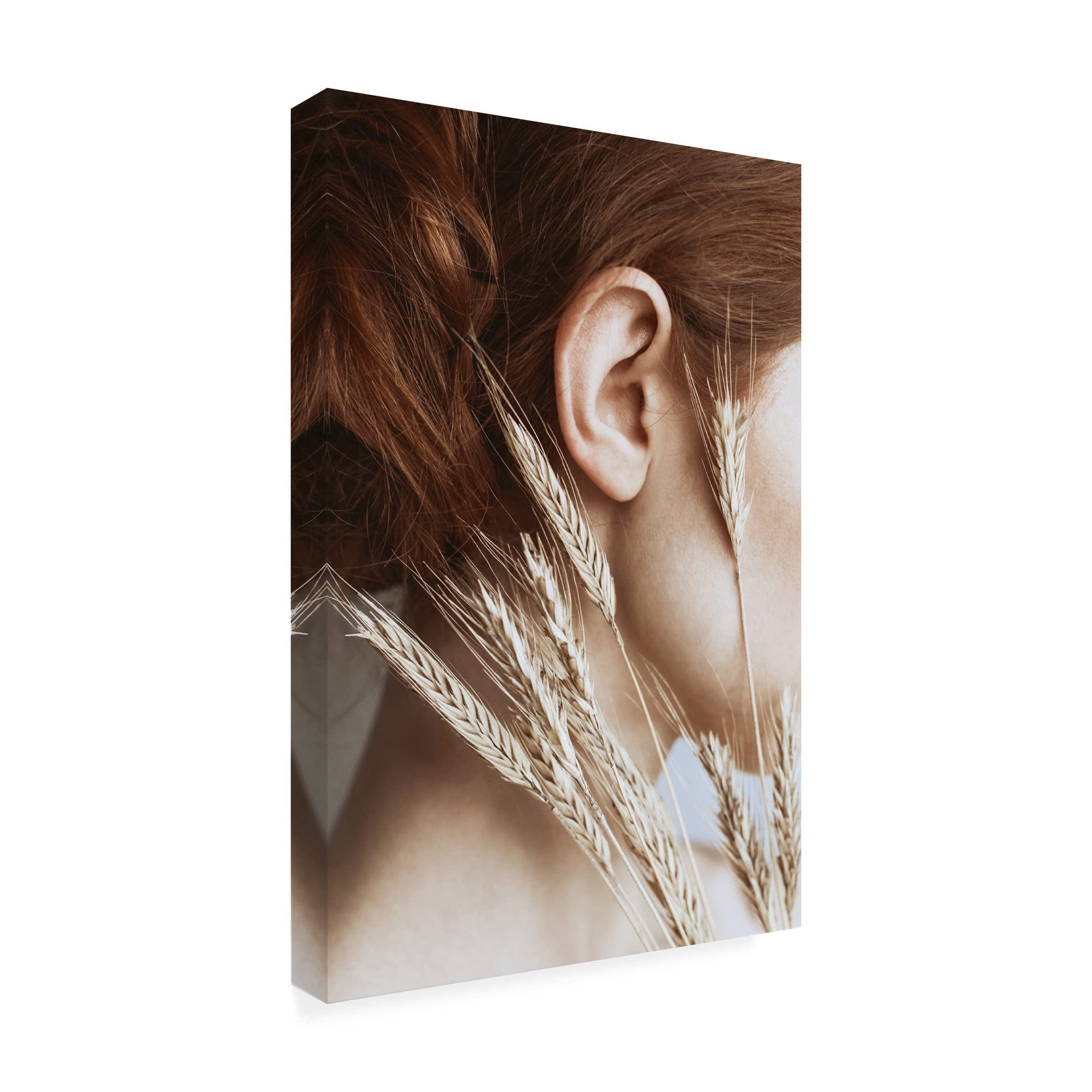 Trademark Fine Art 'Rye' Canvas Wall Art by Dorota Gorecka - Modern Farmhouse Decor for Living Room, Bedroom & Office