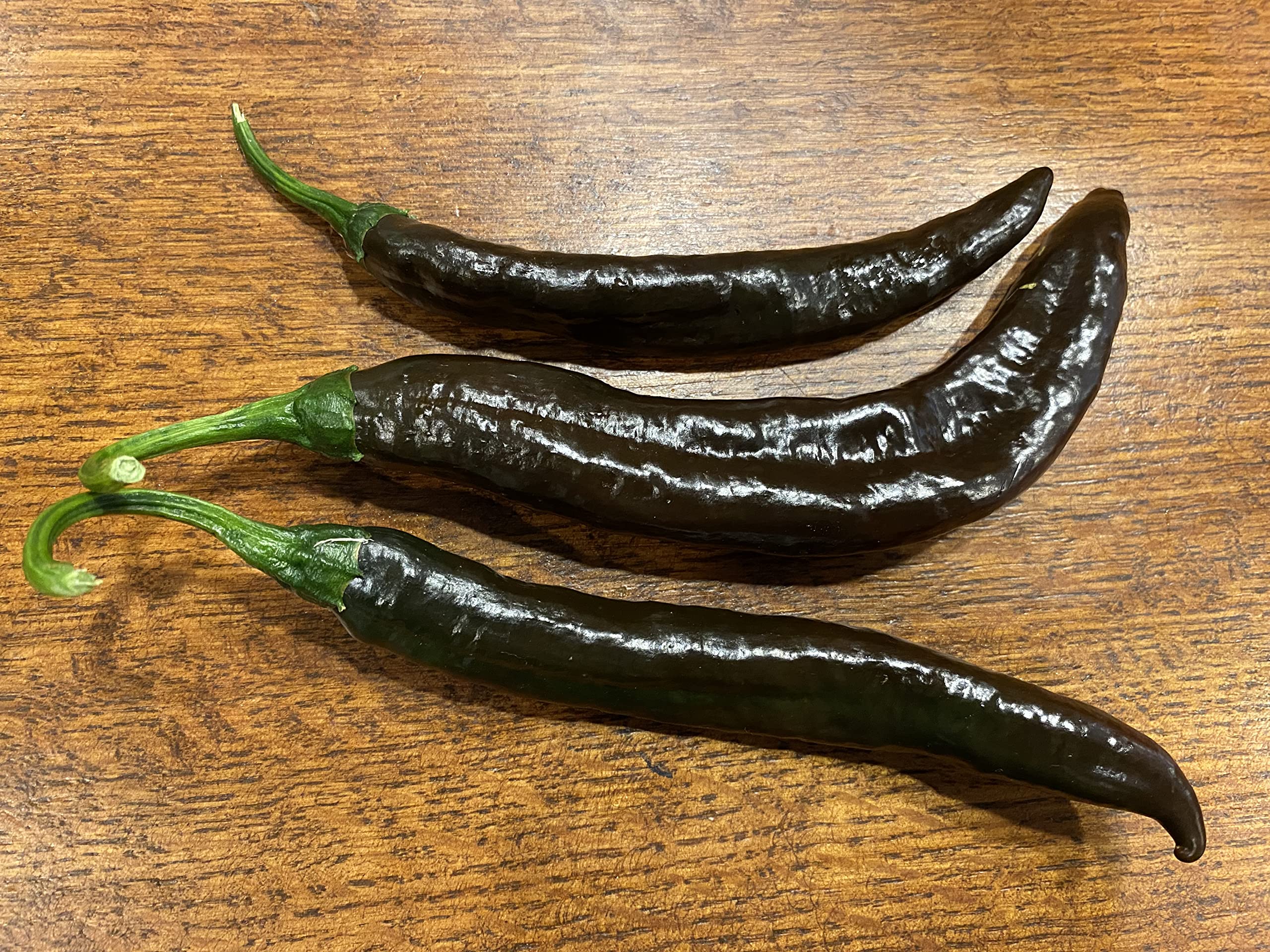 Premium Pasilla Apaseo Little Raisin Chile Oaxacan Chilaca Chili Heirloom Pepper Seeds - Non-GMO Planting Packet for Home Garden, Mexican Cuisine & Salsa Making