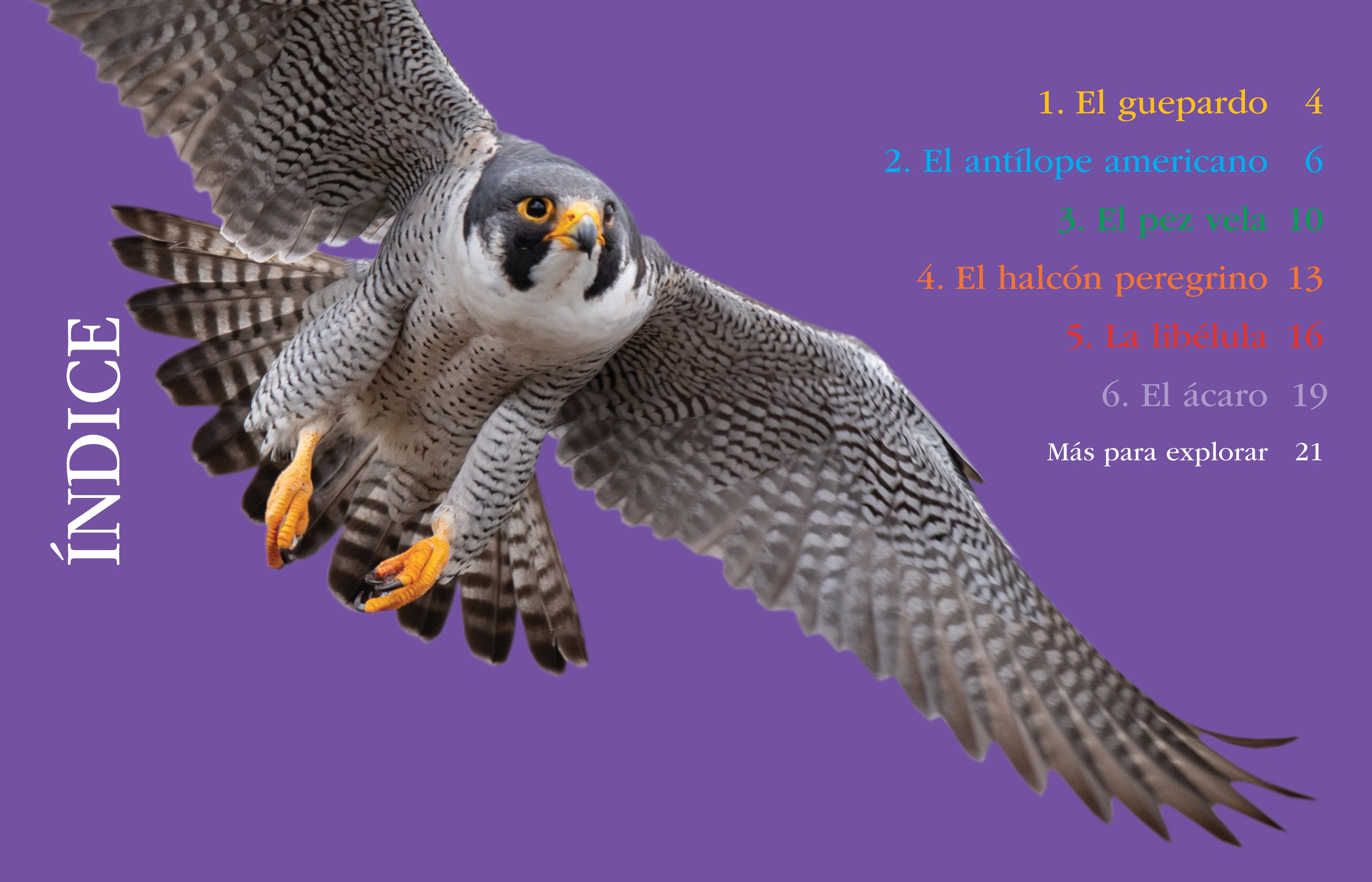 Fastest Running Animals - Top Speeds & Facts for Wildlife Enthusiasts | Perfect for Nature Documentaries & Educational Projects