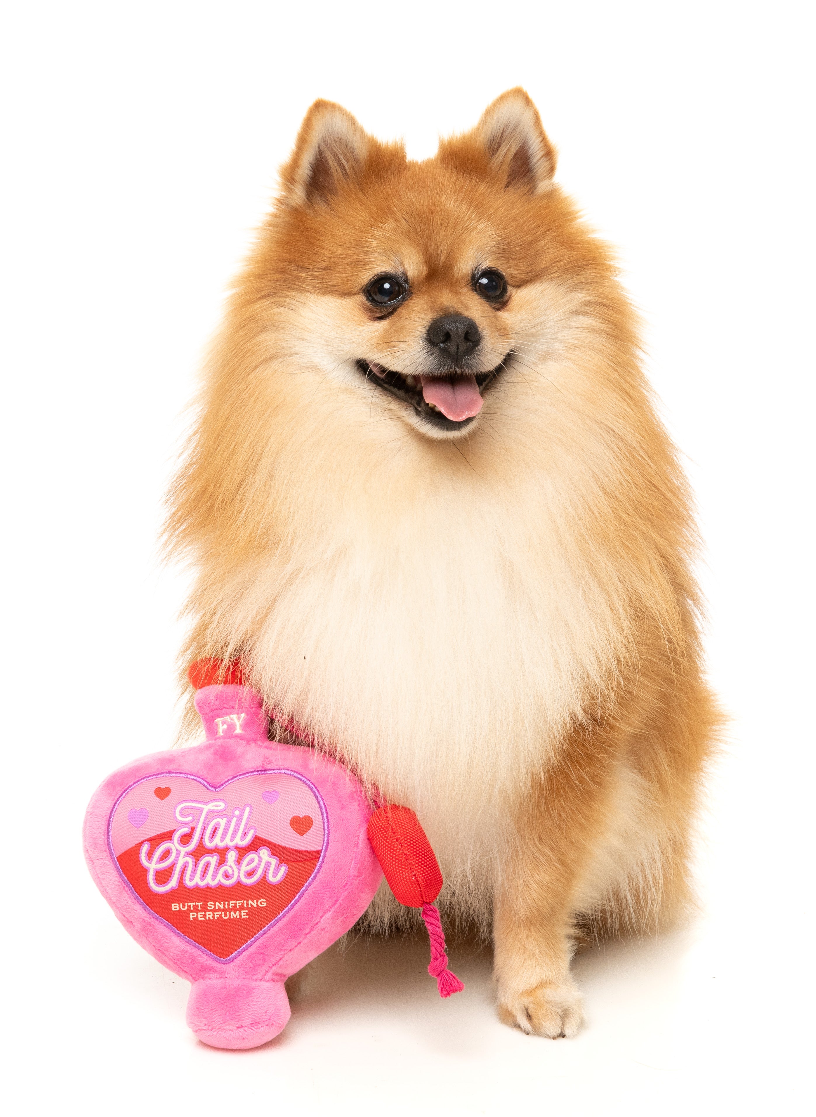FuzzYard Valentine's Day Plush Dog Toy with Scented Tail - Cute Interactive Puppy Chew Toy for Small & Medium Dogs - Perfect for Playtime, Training & Gifting