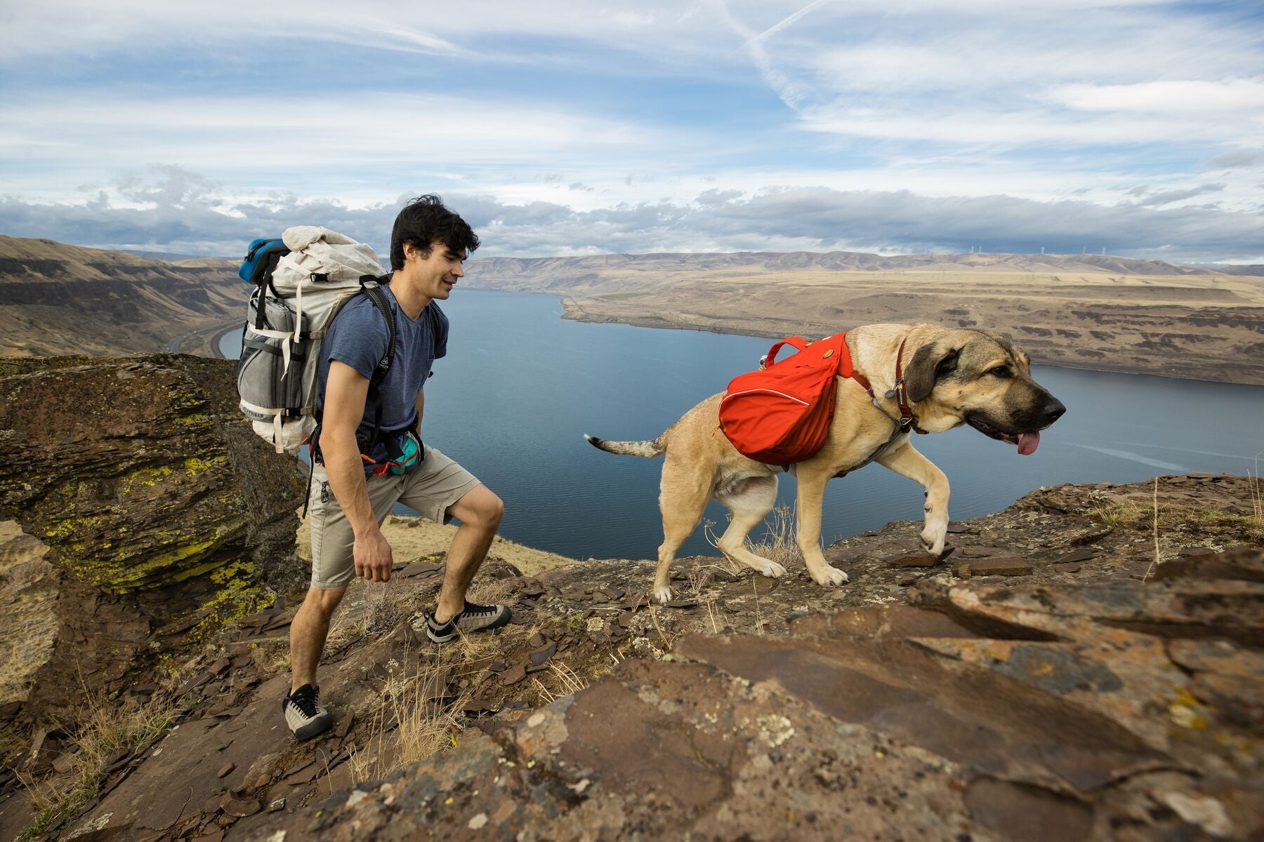 Ruffwear Palisades 2-in-1 Dog Hydration Pack & Harness - Lightweight Backpack for Hiking, Running & Outdoor Adventures with Water Bladder Storage