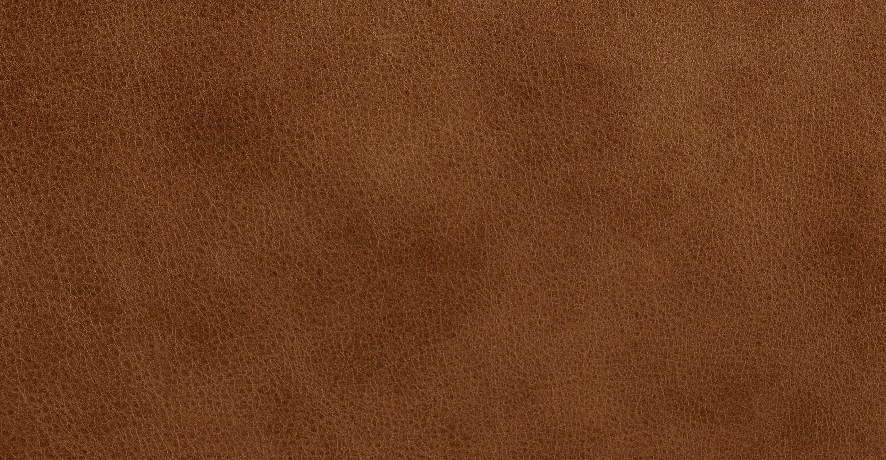 Essex 86 Leather Pull-Out Convertible Sleeper Sofa - Modern Leather Sofa Bed for Living Room, Guest Room & Small Spaces