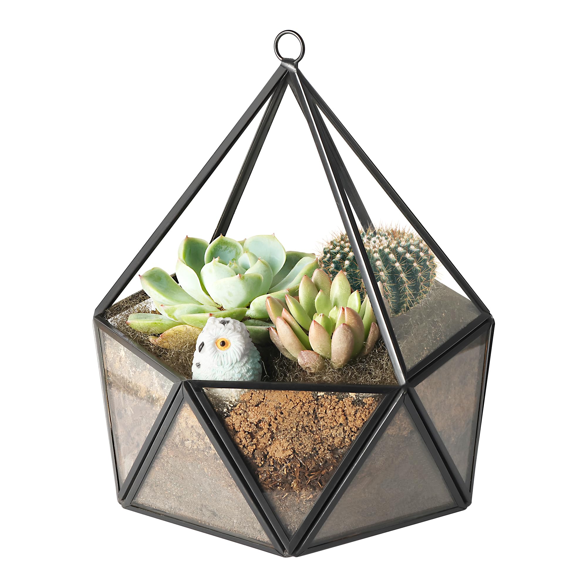 Geometric Glass Terrarium for Succulents & Air Plants - Black Hanging Planter - Perfect for Home Decor, Office Desk, and Wedding Centerpieces (No Plants Included)