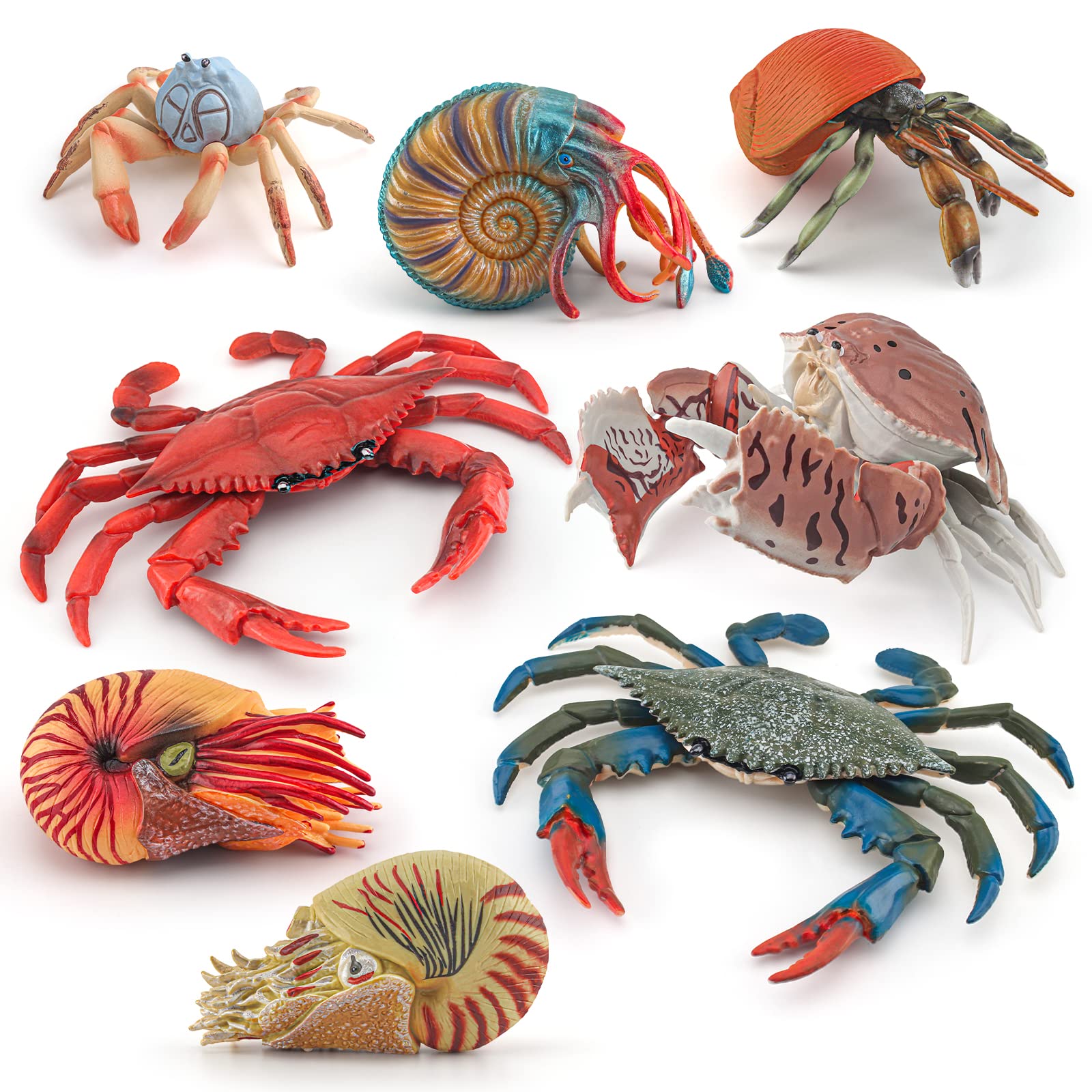8PCS Jumbo Sea Creatures Toys Set - Educational Shark, Crab, Nautilus Figurines for Kids | Science Learning & Ocean Exploration | Perfect Birthday Gift for Boys & Girls | Bath Time, Classroom & Playroom Fun