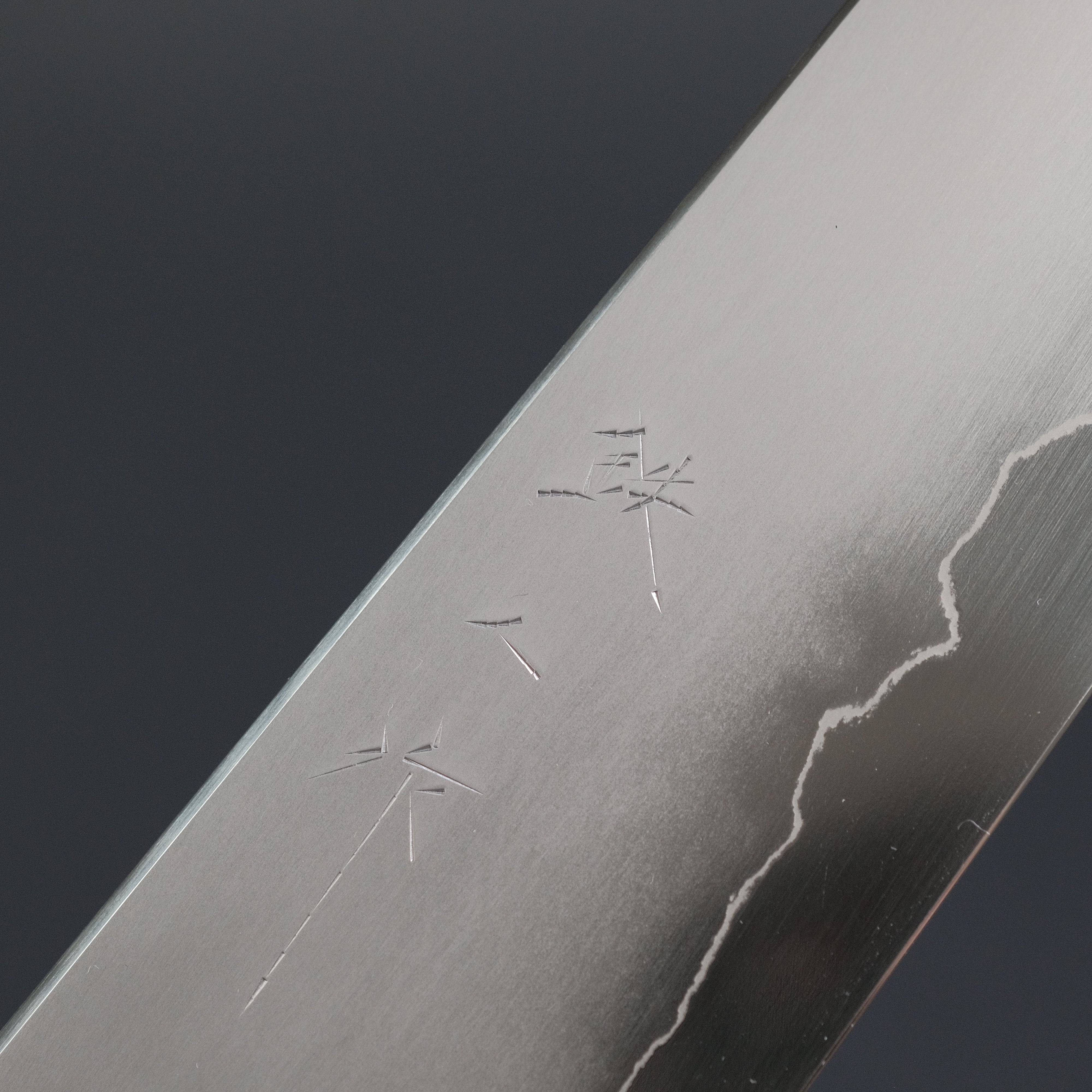 Premium Tetsujin Silver #3 Kasumi Kiritsuke Gyuto 210mm Japanese Chef Knife with Yakusugi Cedar Handle - Perfect for Sushi, Sashimi & Precision Vegetable Cutting
