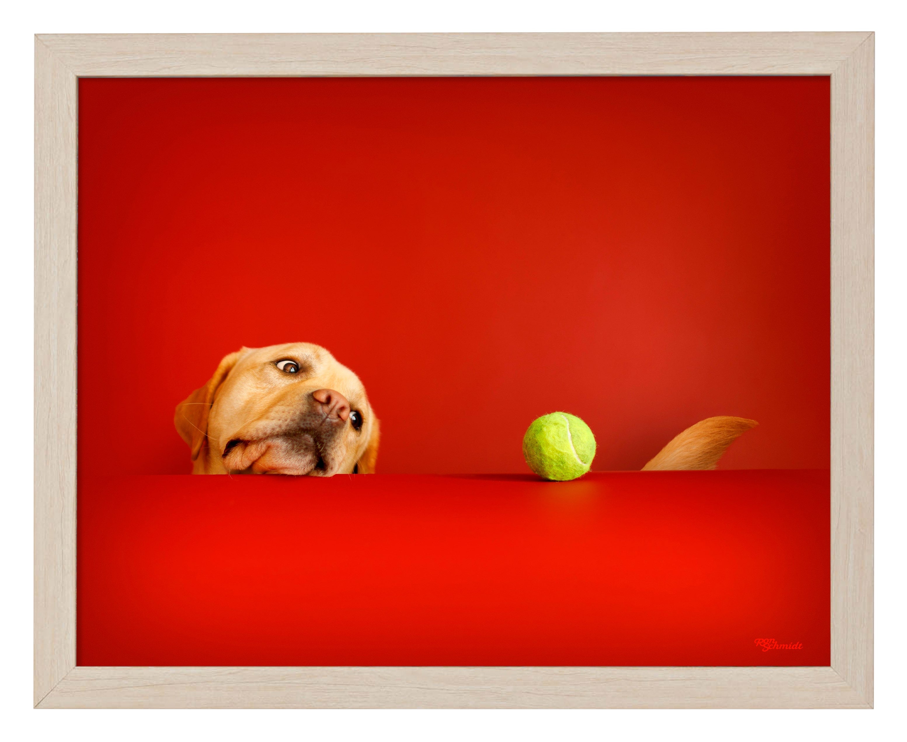 Crimson Art Prints - High-Quality Wall Decor for Home & Office | Perfect for Living Room, Bedroom & Gifts