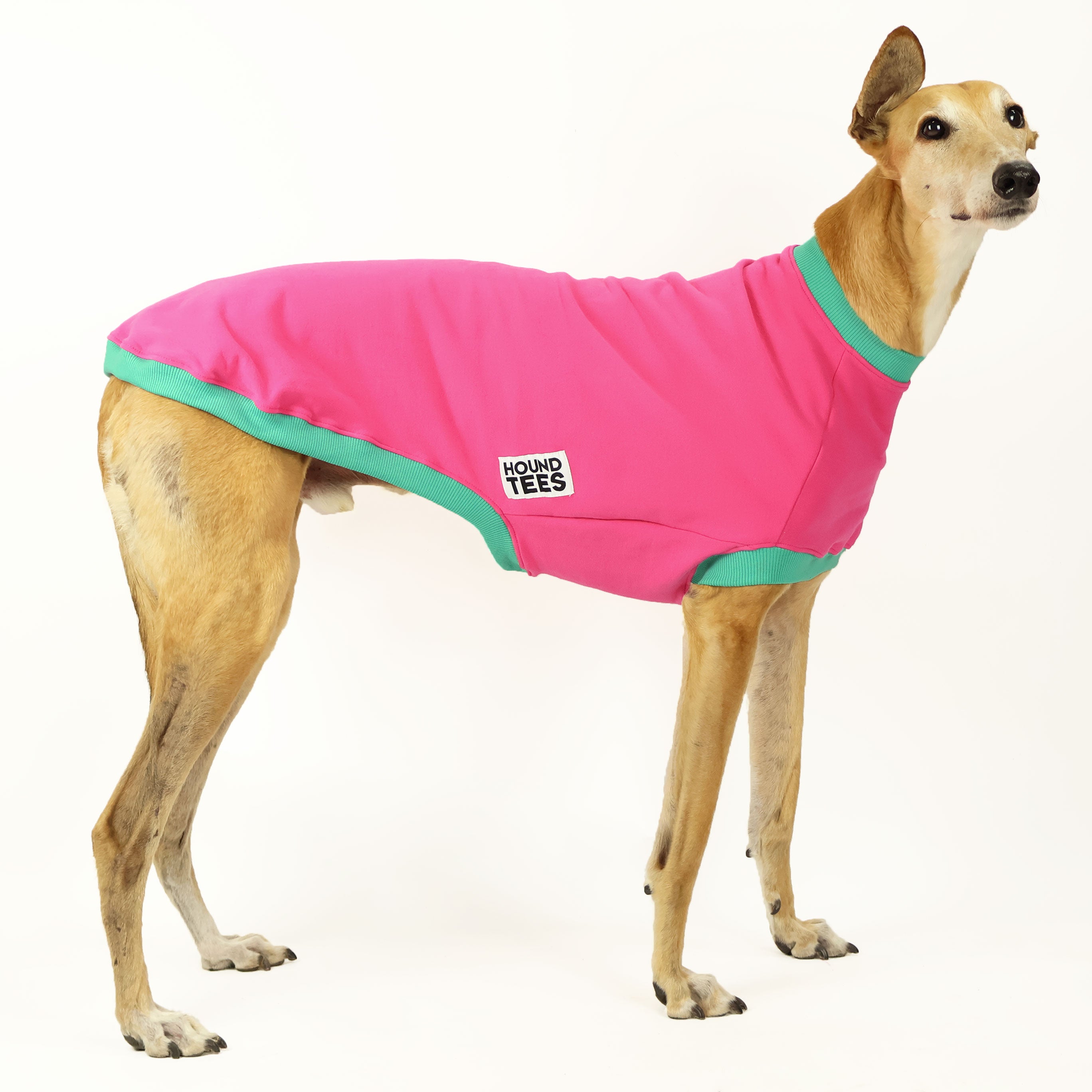 Blep Greyhound Sleeveless Dog Sweater - Cozy Knit Pet Jumper for Small to Medium Dogs - Perfect for Indoor Comfort & Outdoor Walks