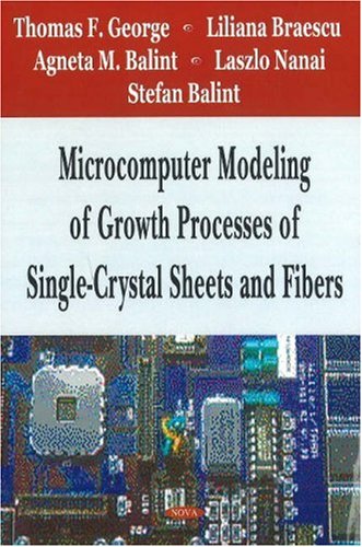 Microcomputer Modeling of Single-Crystal Sheets and Fibers Growth Processes | Crystal Growth Simulation for Research & Manufacturing