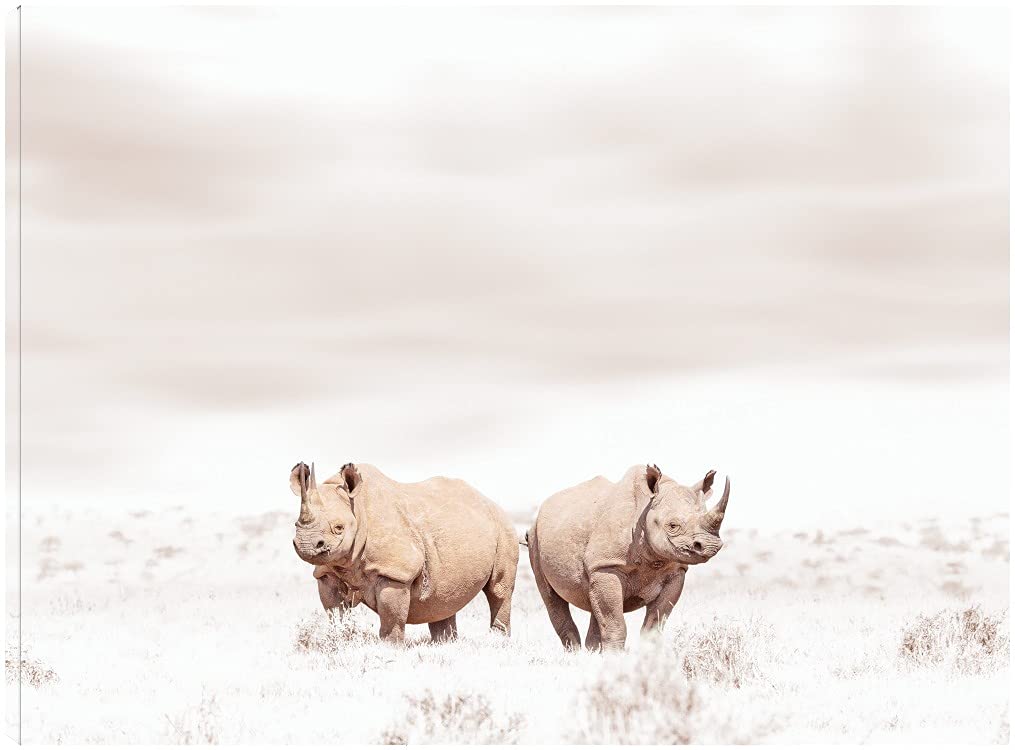 Tiedge Rhino Duo Fine Art Canvas Wall Decor - 43x32 Inch Ready to Hang Painting for Living Room, Bedroom, Office & More - Wildlife Home Decor Gift for Animal Lovers